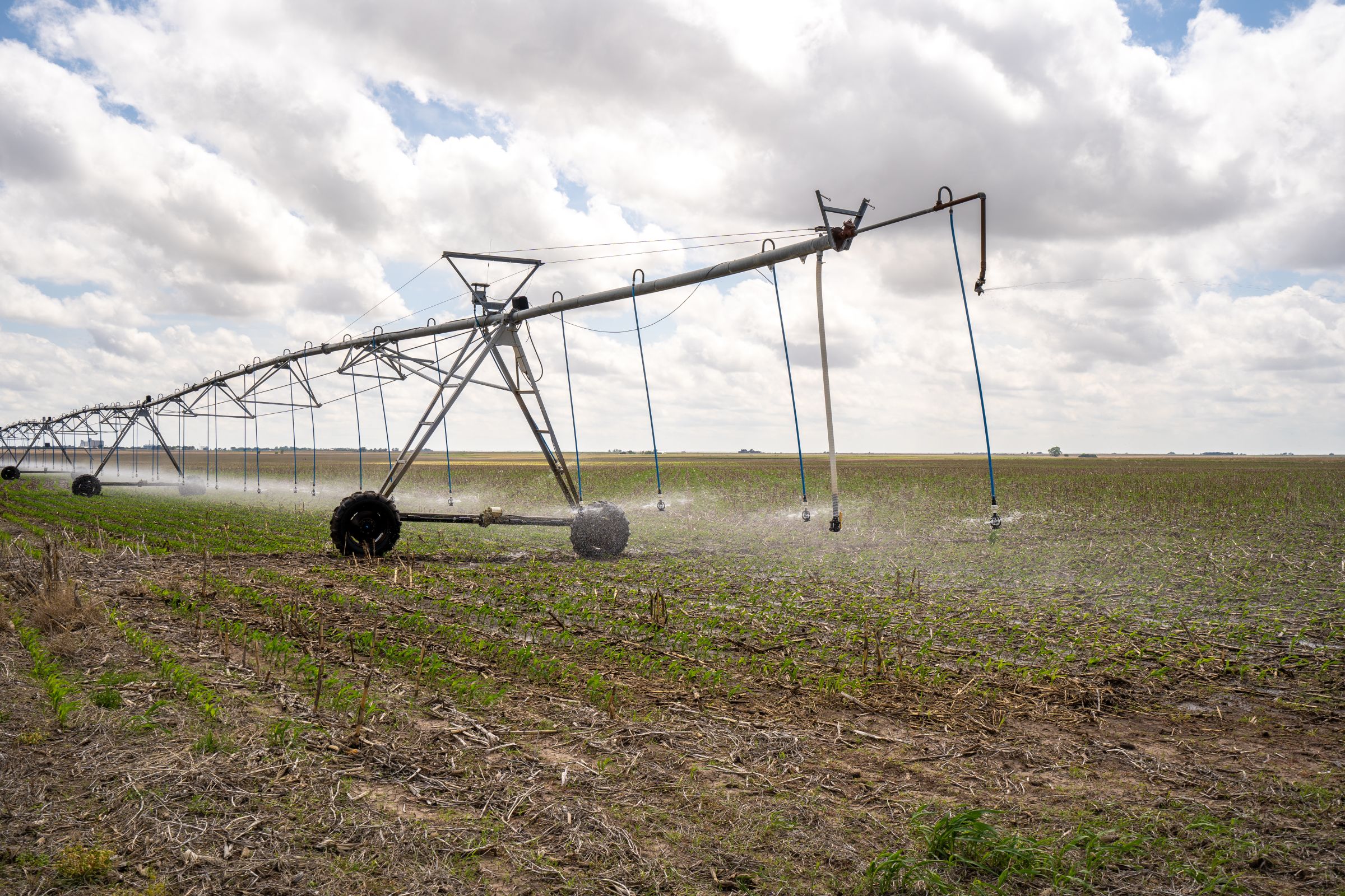 auctions-gray-haskell-county-kansas-2990-acres-listing-number-15570-1-2021-06-11-184225.jpeg