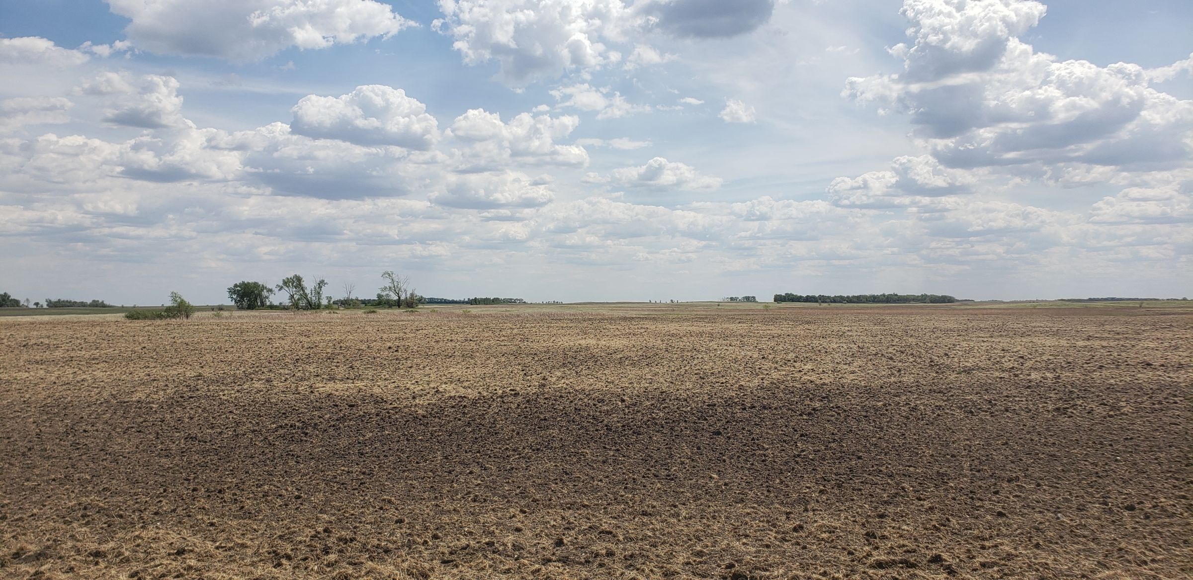 auctions-cass-county-north-dakota-320-acres-listing-number-15590-0-2021-06-22-191128.jpg