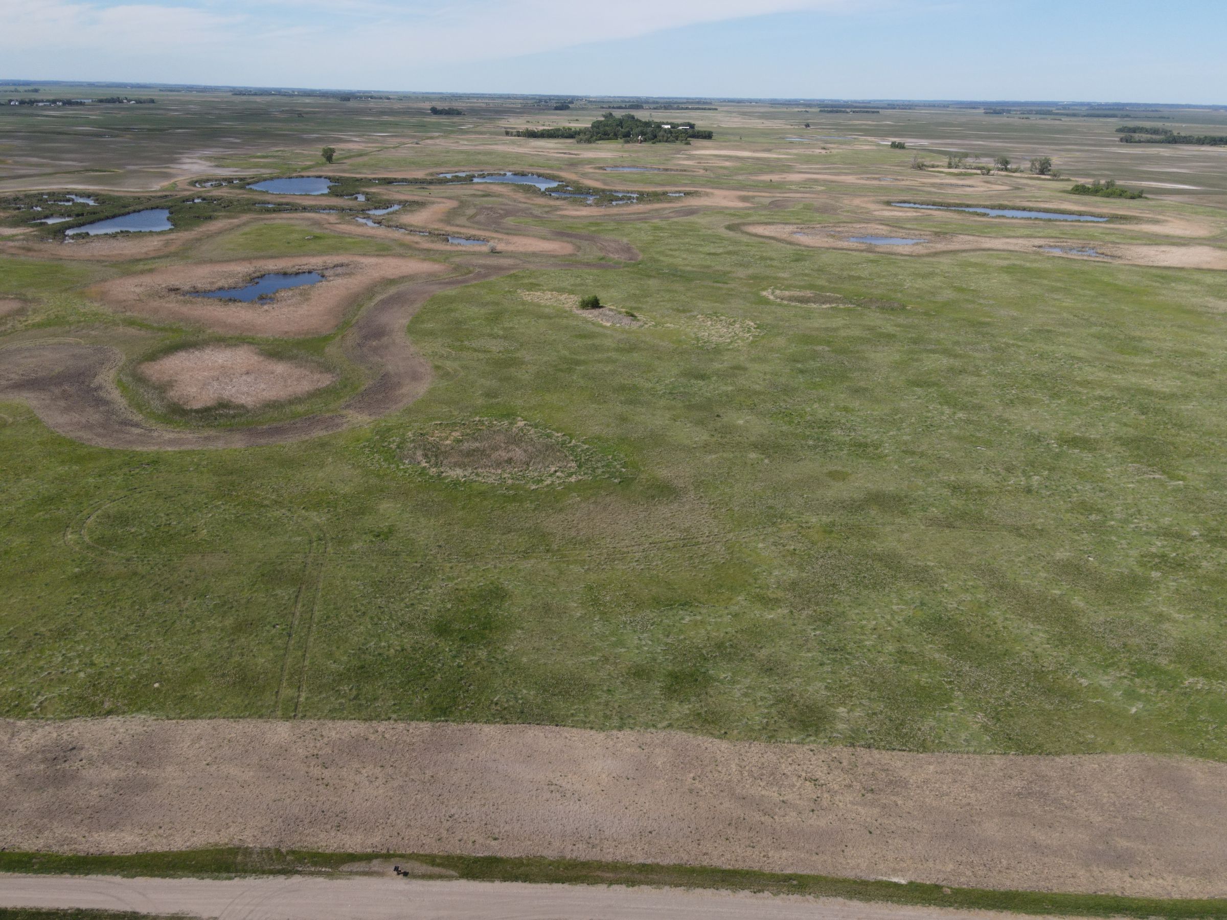 auctions-cass-county-north-dakota-320-acres-listing-number-15590-0-2021-06-22-191227.JPG