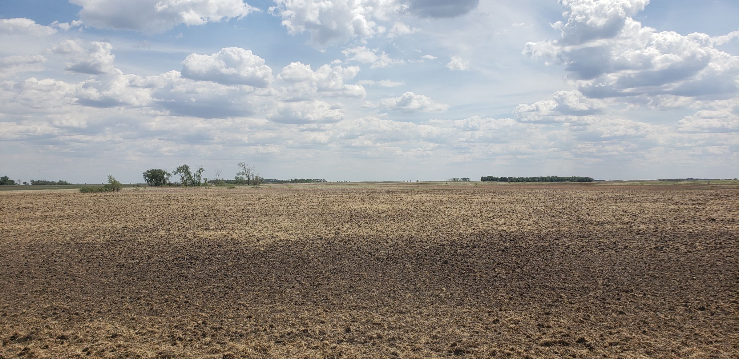 auctions-cass-county-north-dakota-320-acres-listing-number-15590-1-2021-06-22-191129.jpg