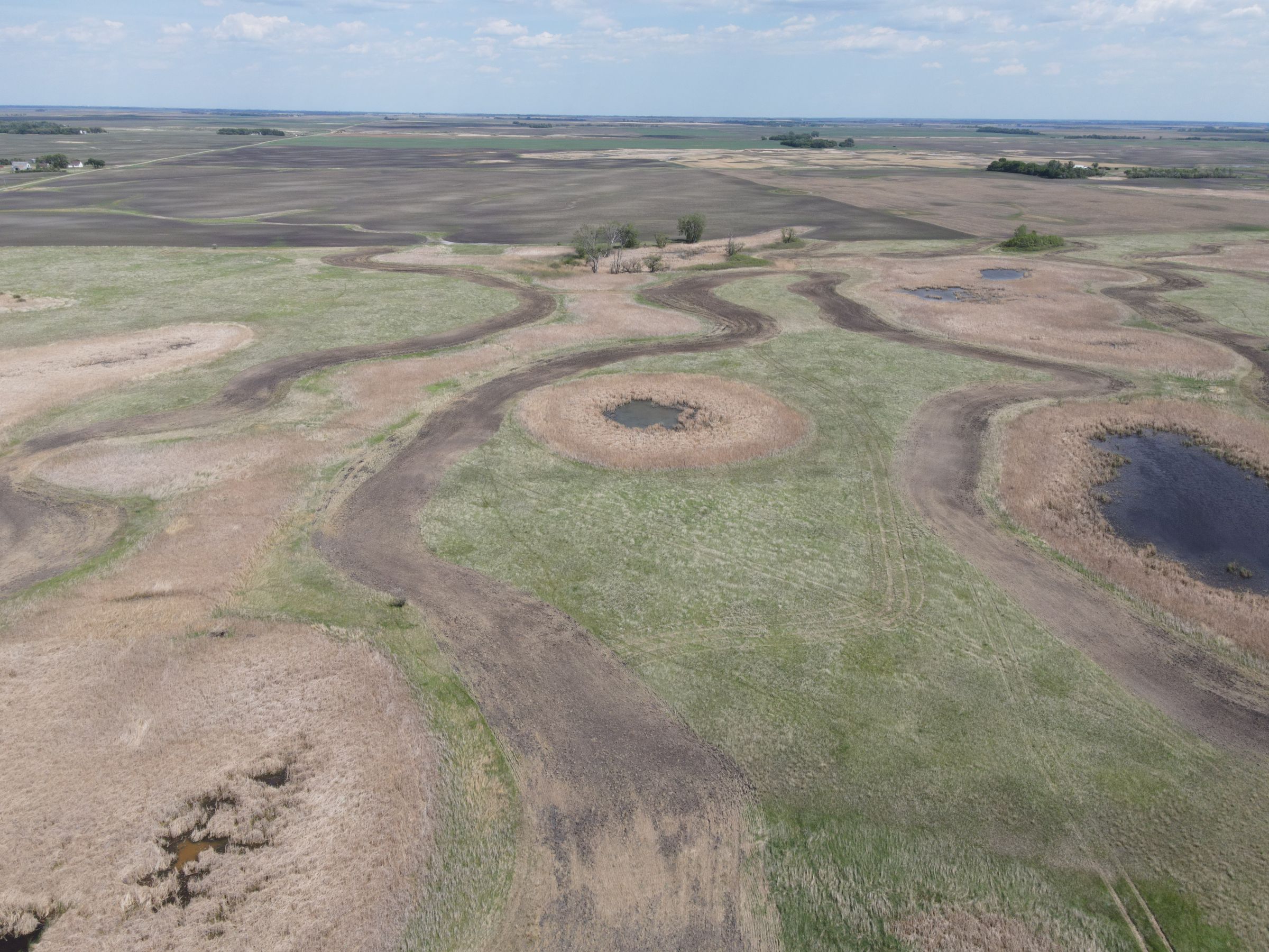 auctions-cass-county-north-dakota-320-acres-listing-number-15590-2-2021-06-22-191036.JPG