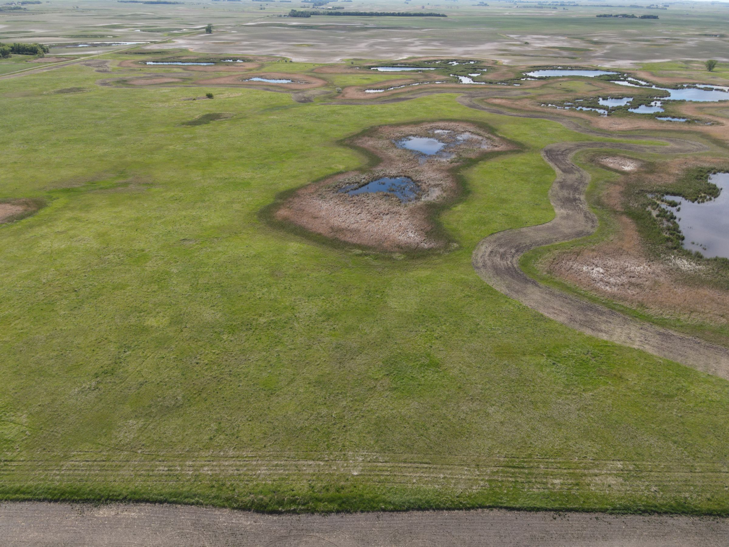 auctions-cass-county-north-dakota-320-acres-listing-number-15590-2-2021-06-22-191233.JPG