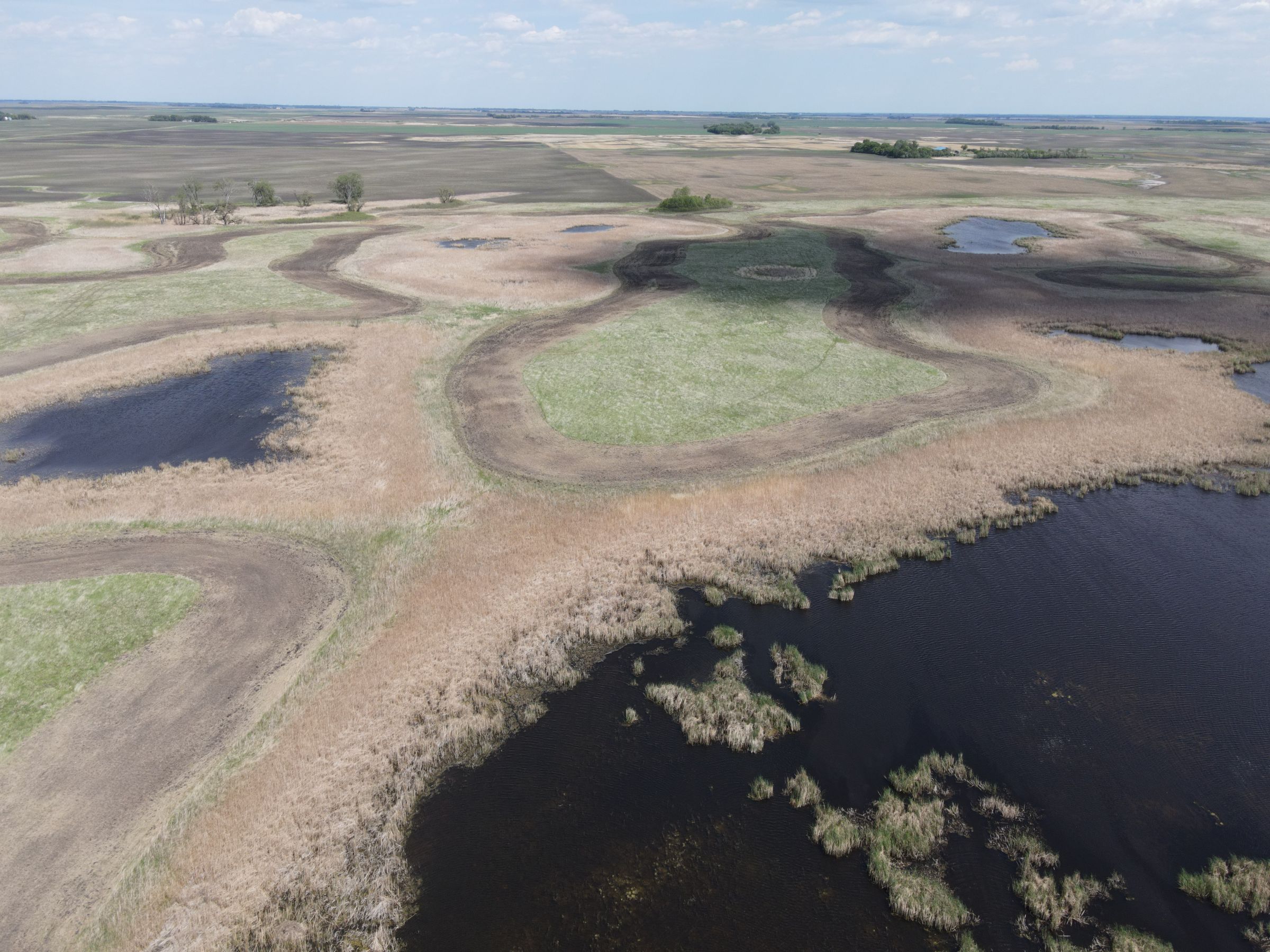 auctions-cass-county-north-dakota-320-acres-listing-number-15590-3-2021-06-22-191039.JPG