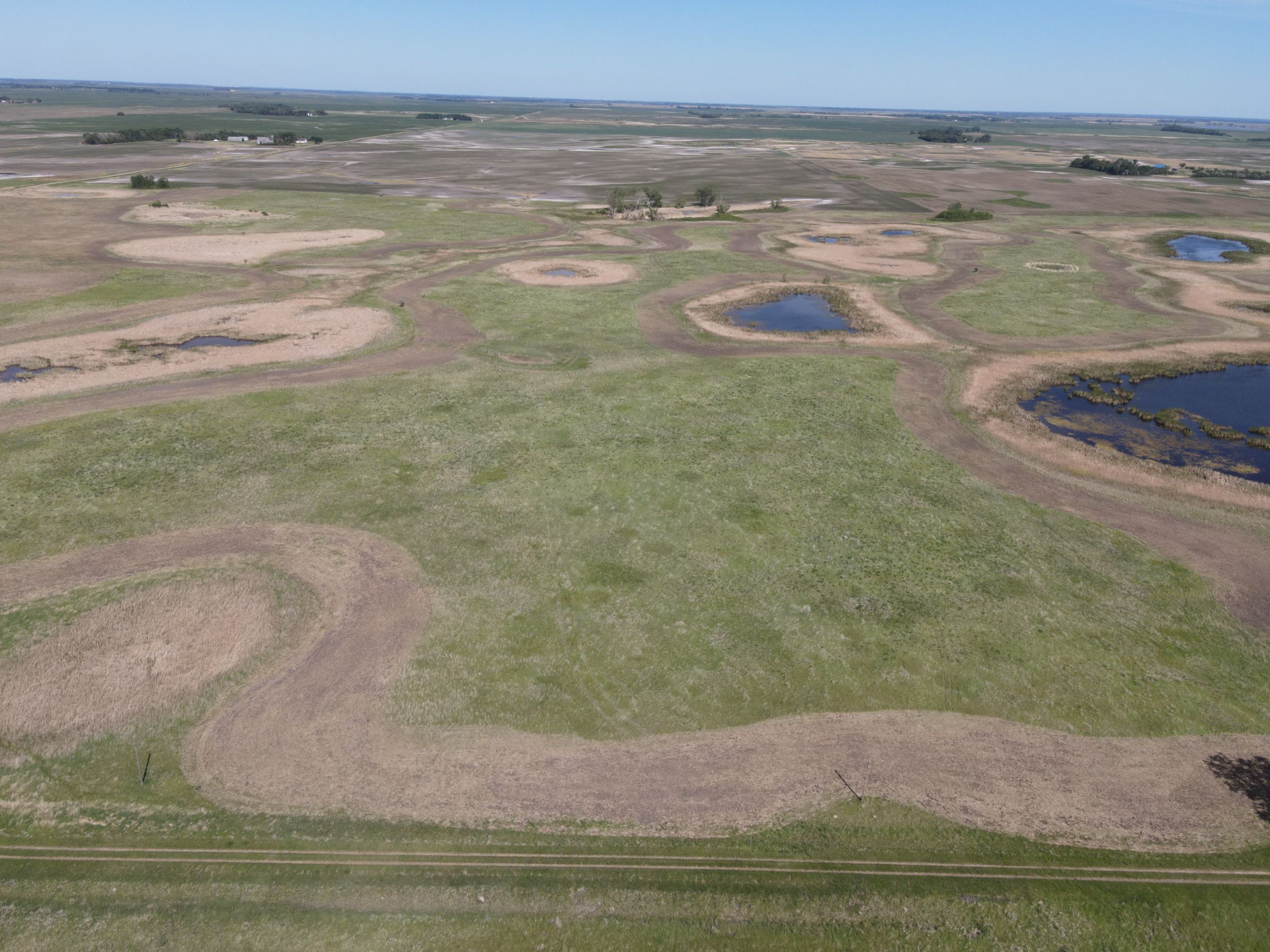 auctions-cass-county-north-dakota-320-acres-listing-number-15590-3-2021-06-22-191133.JPG