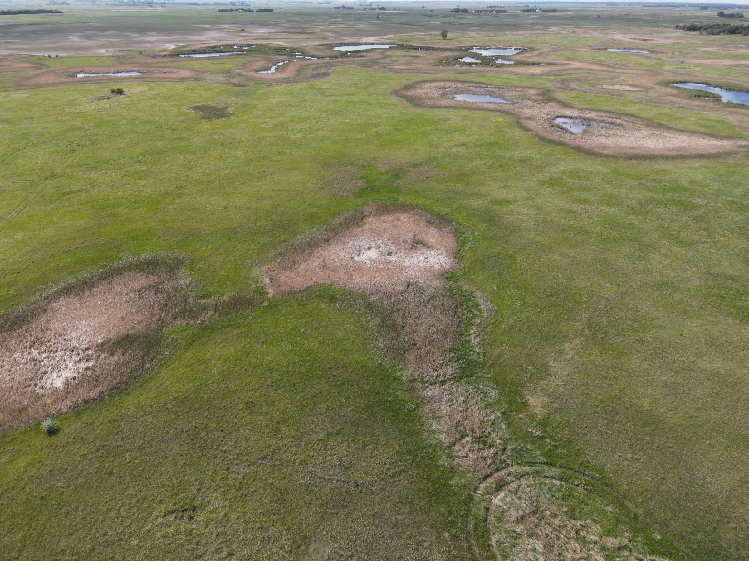 auctions-cass-county-north-dakota-320-acres-listing-number-15590-3-2021-06-22-191236.JPG