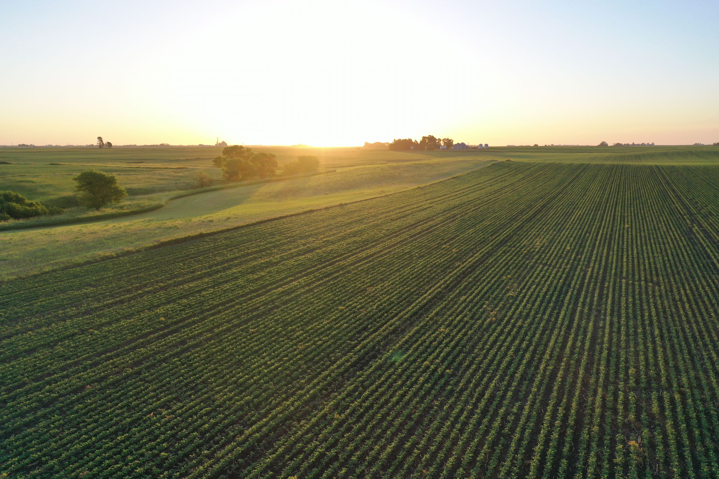 Boone County Iowa Farmland Auction/For Sale