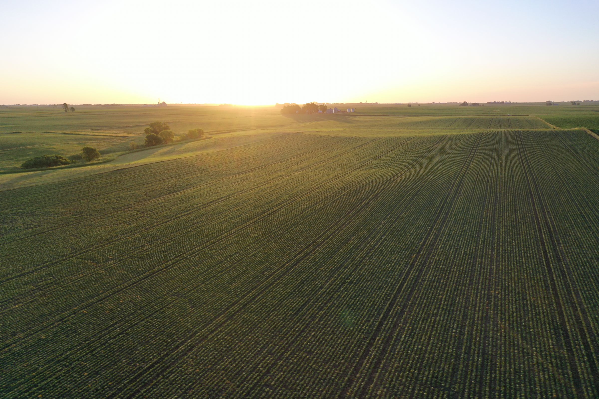 Boone County Iowa Farmland Auction/For Sale