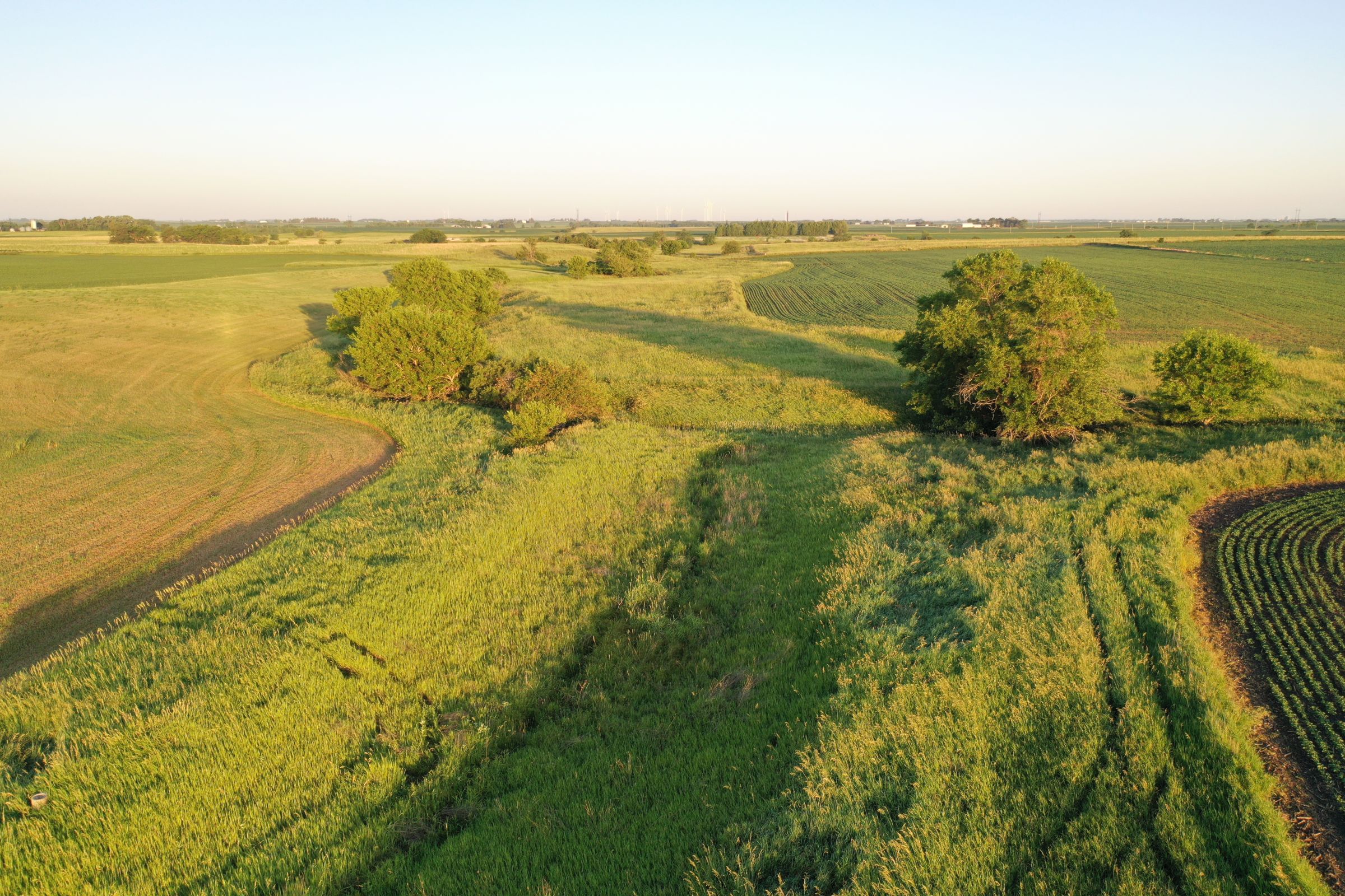 Boone County Iowa Farmland Auction/For Sale