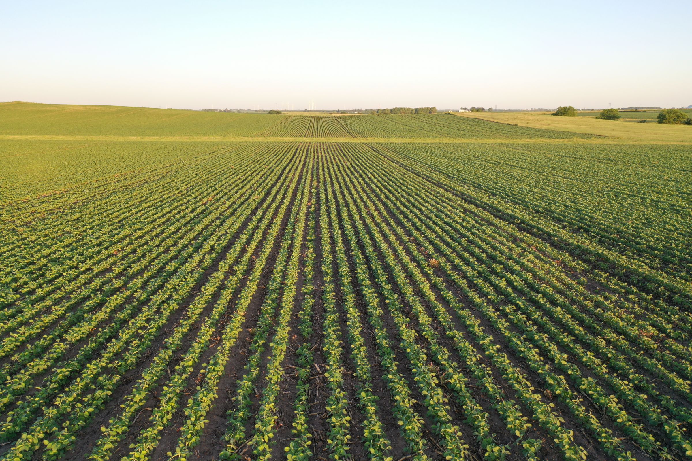 Boone County Iowa Farmland Auction/For Sale