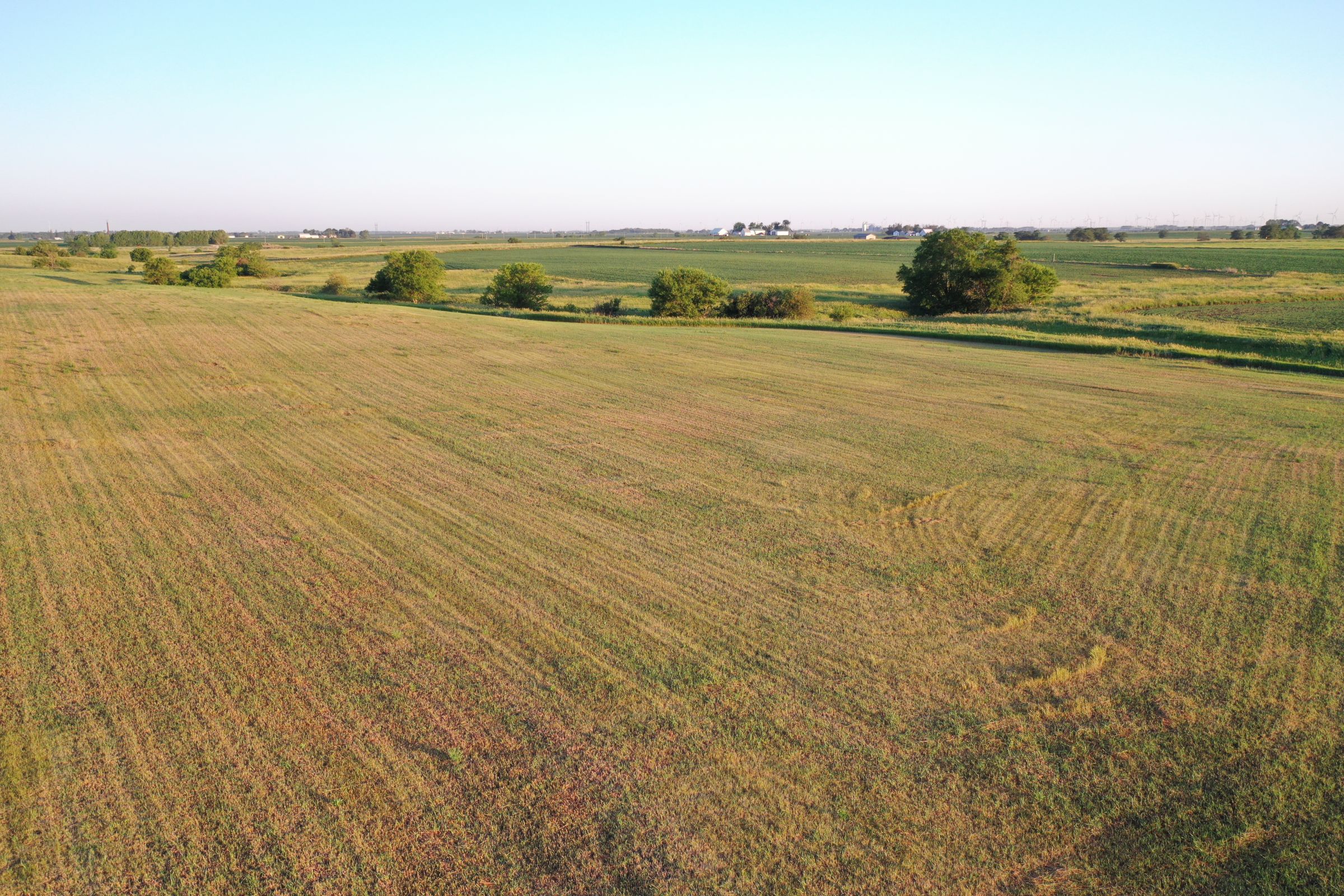 Boone County Iowa Farmland Auction/For Sale