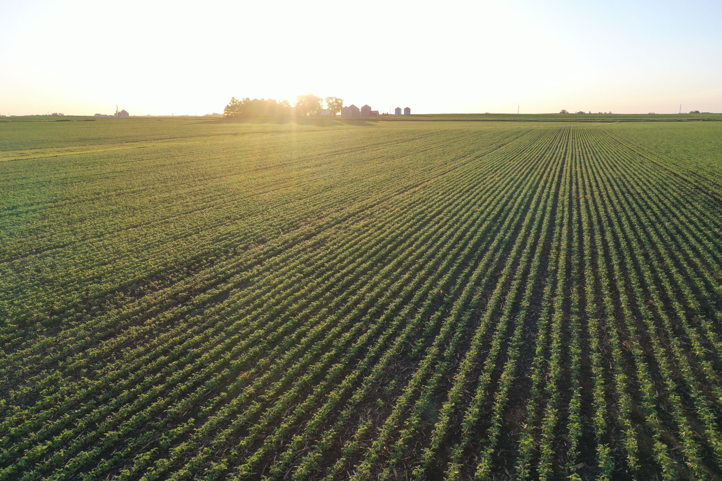 Boone County Iowa Farmland Auction/For Sale