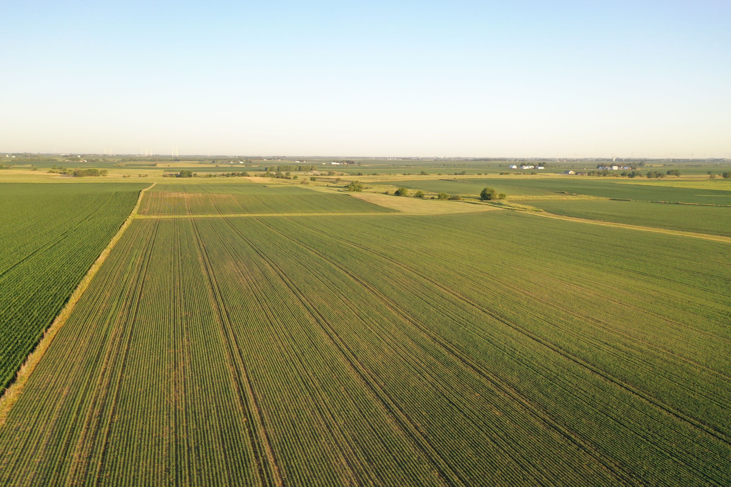 Boone County Iowa Farmland Auction/For Sale