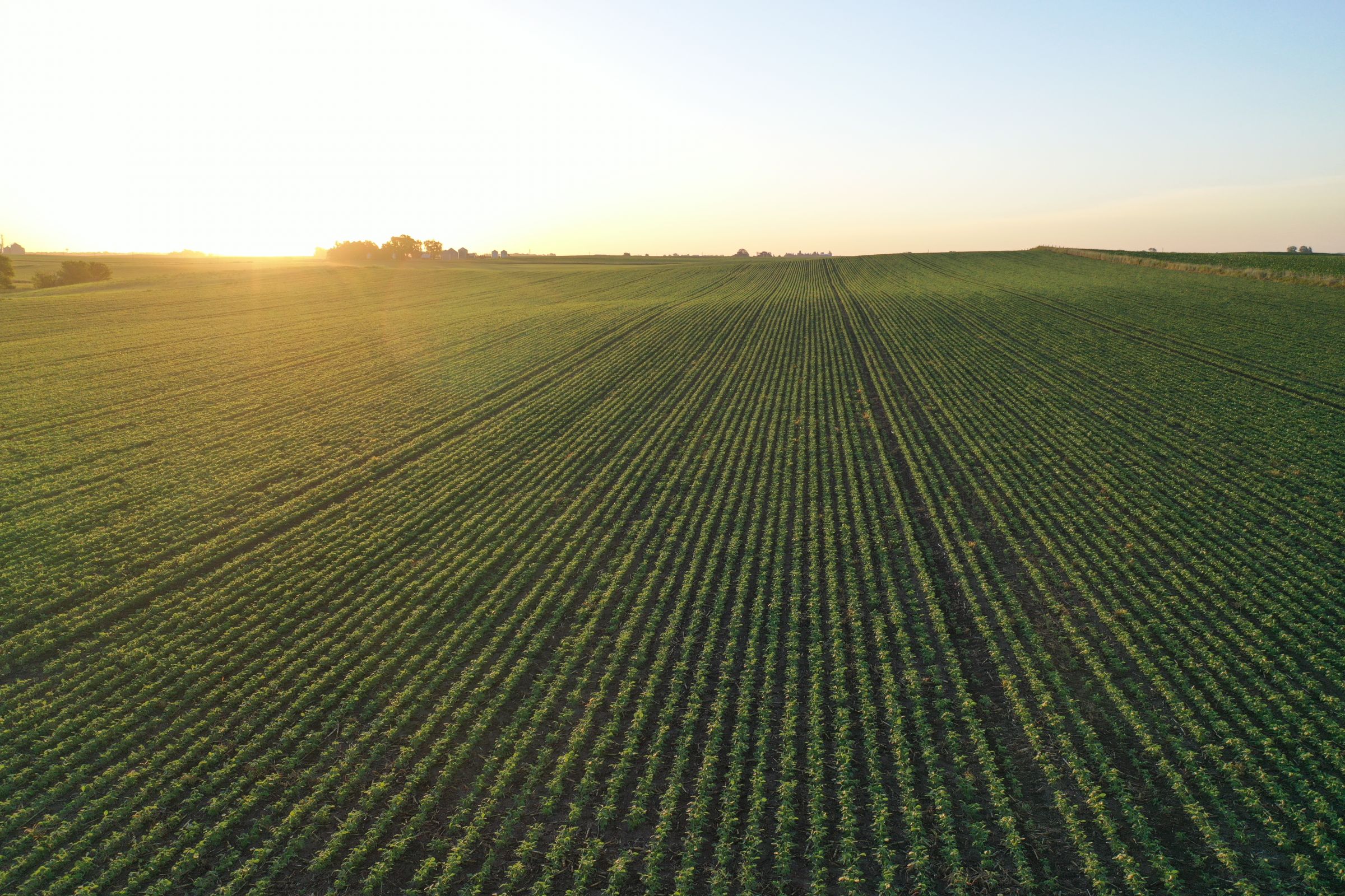 Boone County Iowa Farmland Auction/For Sale