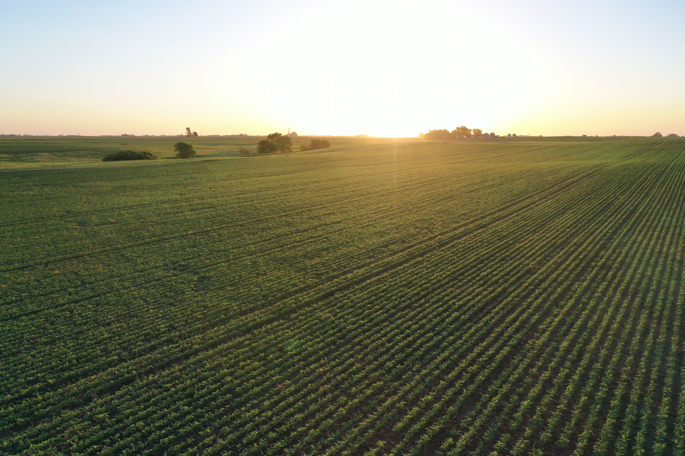 Boone County Iowa Farmland Auction/For Sale