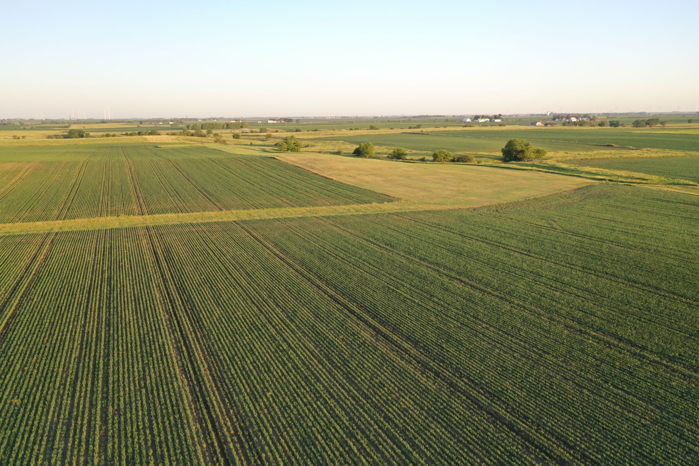 Boone County Iowa Farmland Auction/For Sale