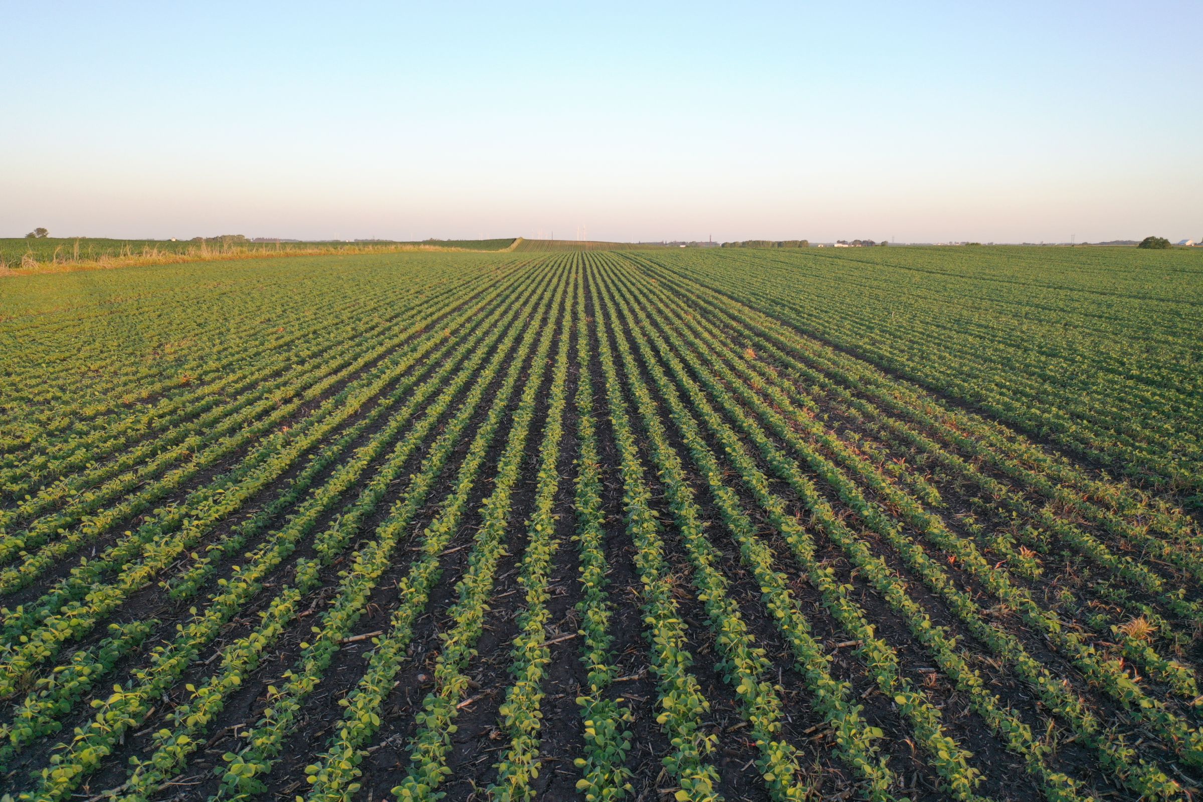 Boone County Iowa Farmland Auction/For Sale