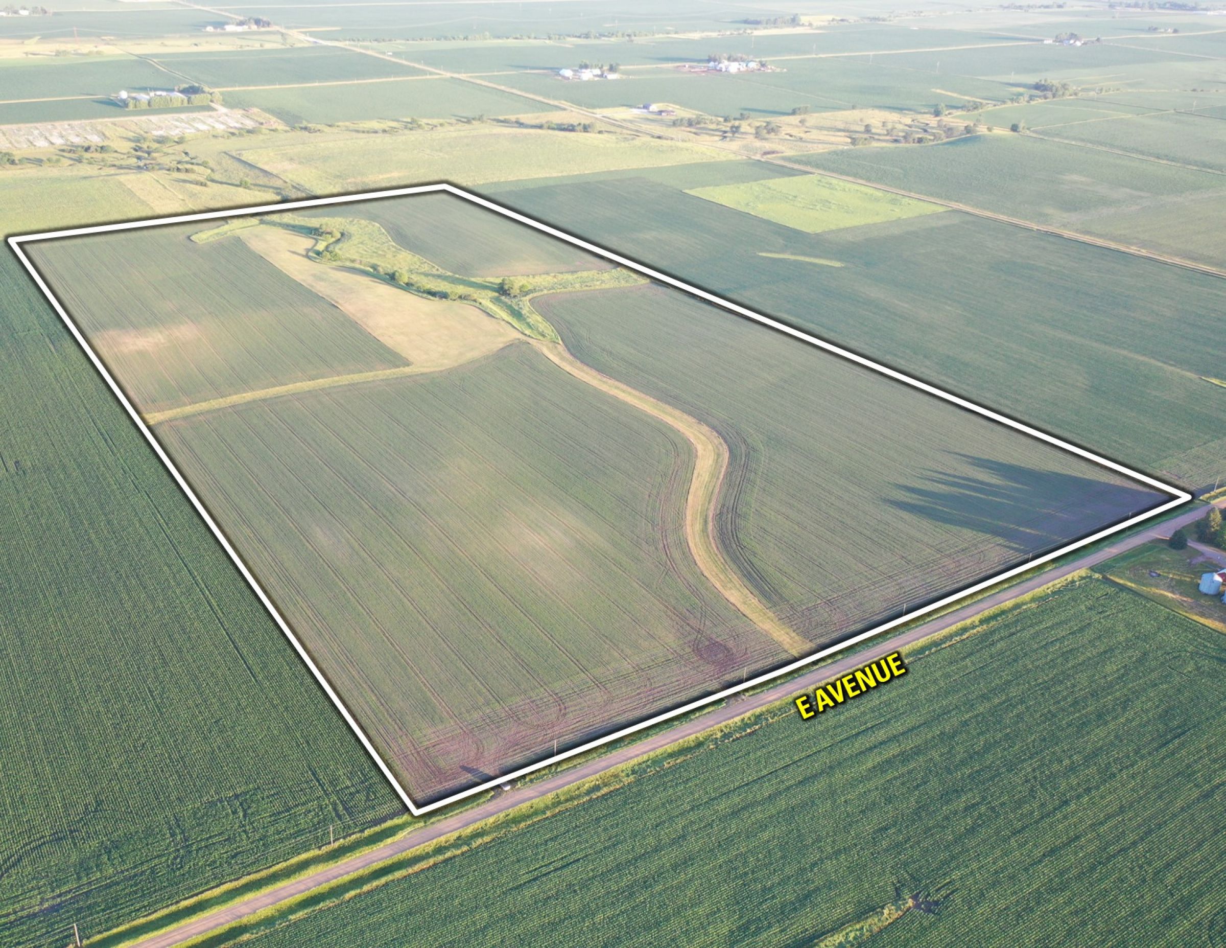 Boone County Iowa Farmland Auction/For Sale