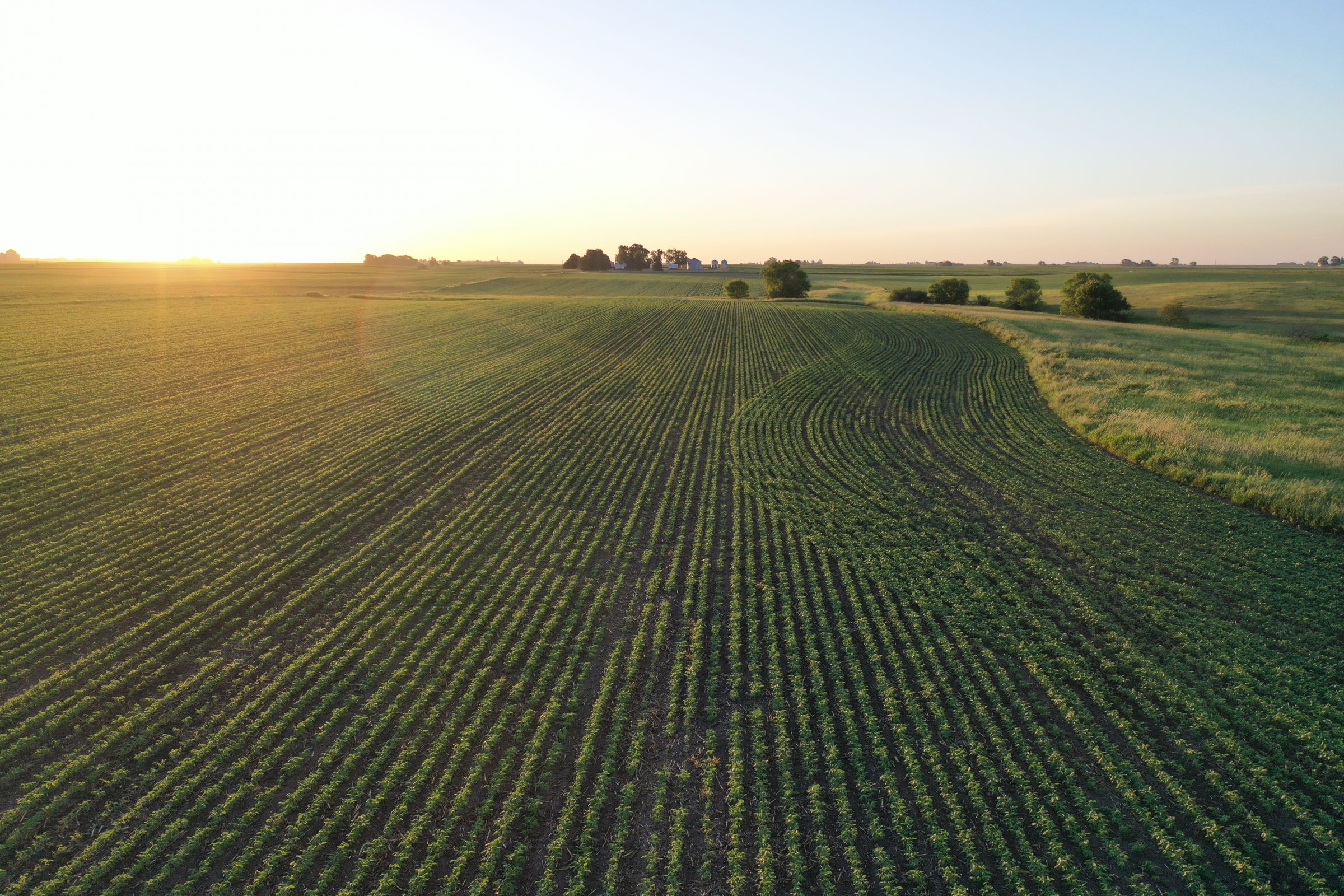 Boone County Iowa Farmland Auction/For Sale