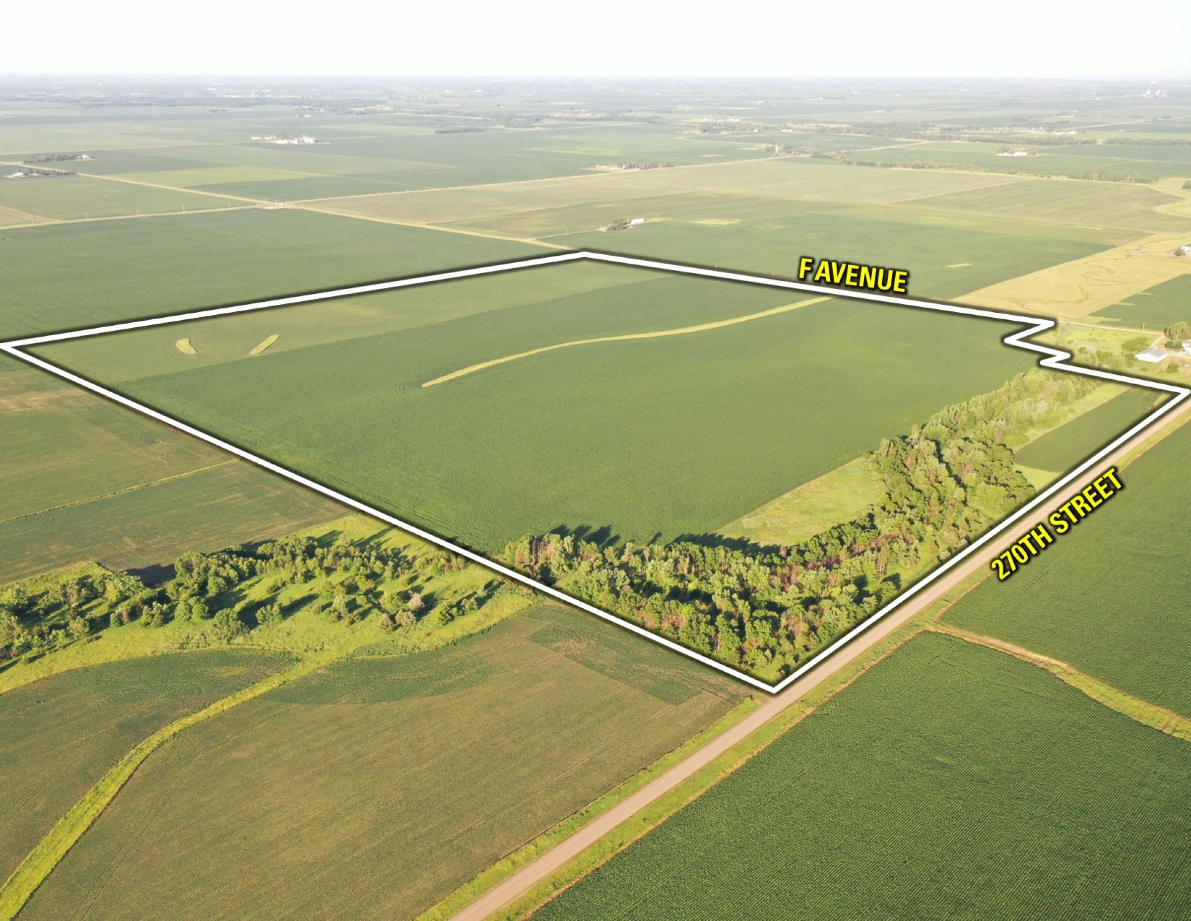 Boone County Iowa Farmland Auction/For Sale