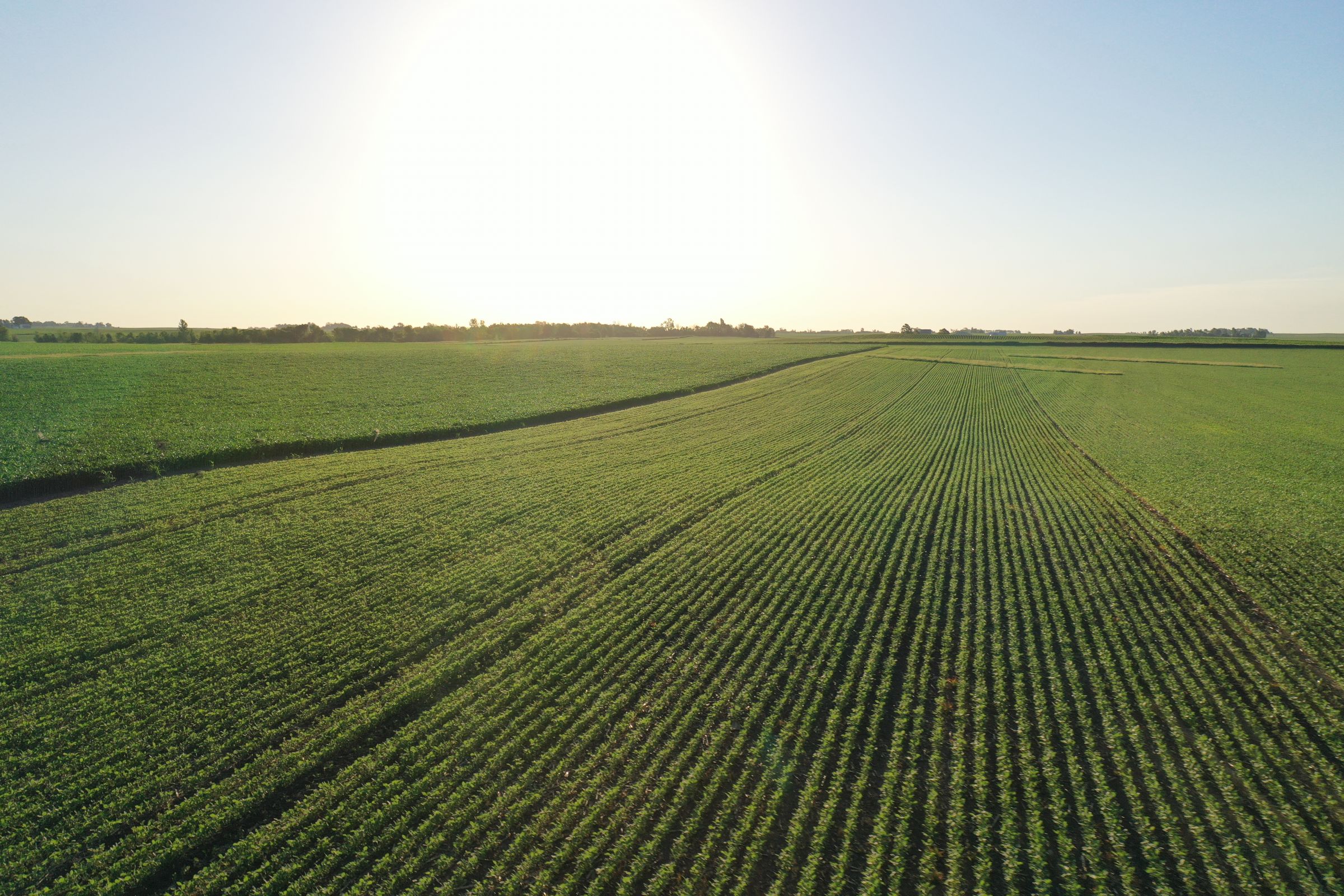 Boone County Iowa Farmland Auction/For Sale