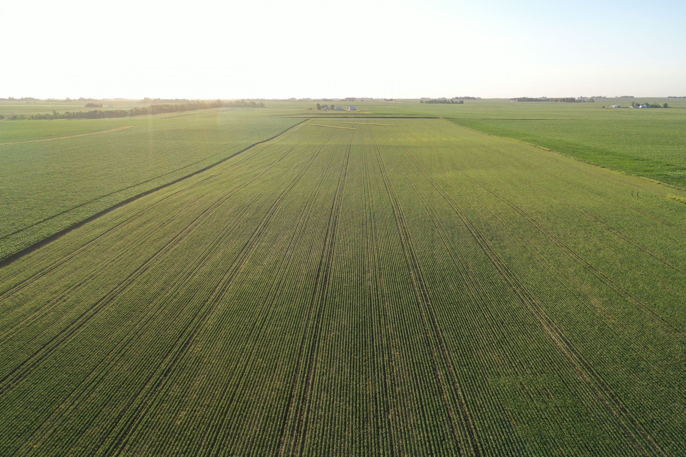 Boone County Iowa Farmland Auction/For Sale