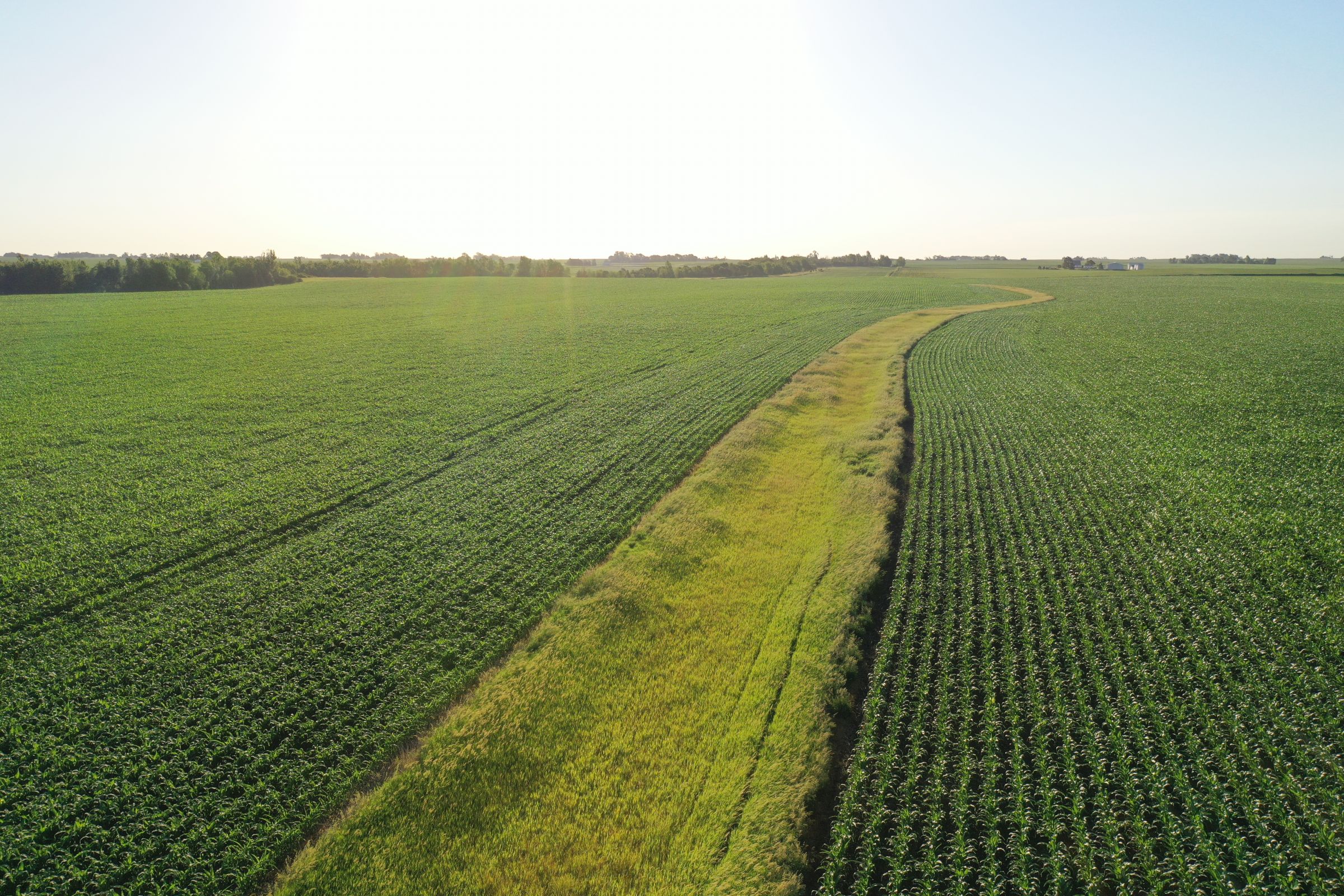 Boone County Iowa Farmland Auction/For Sale