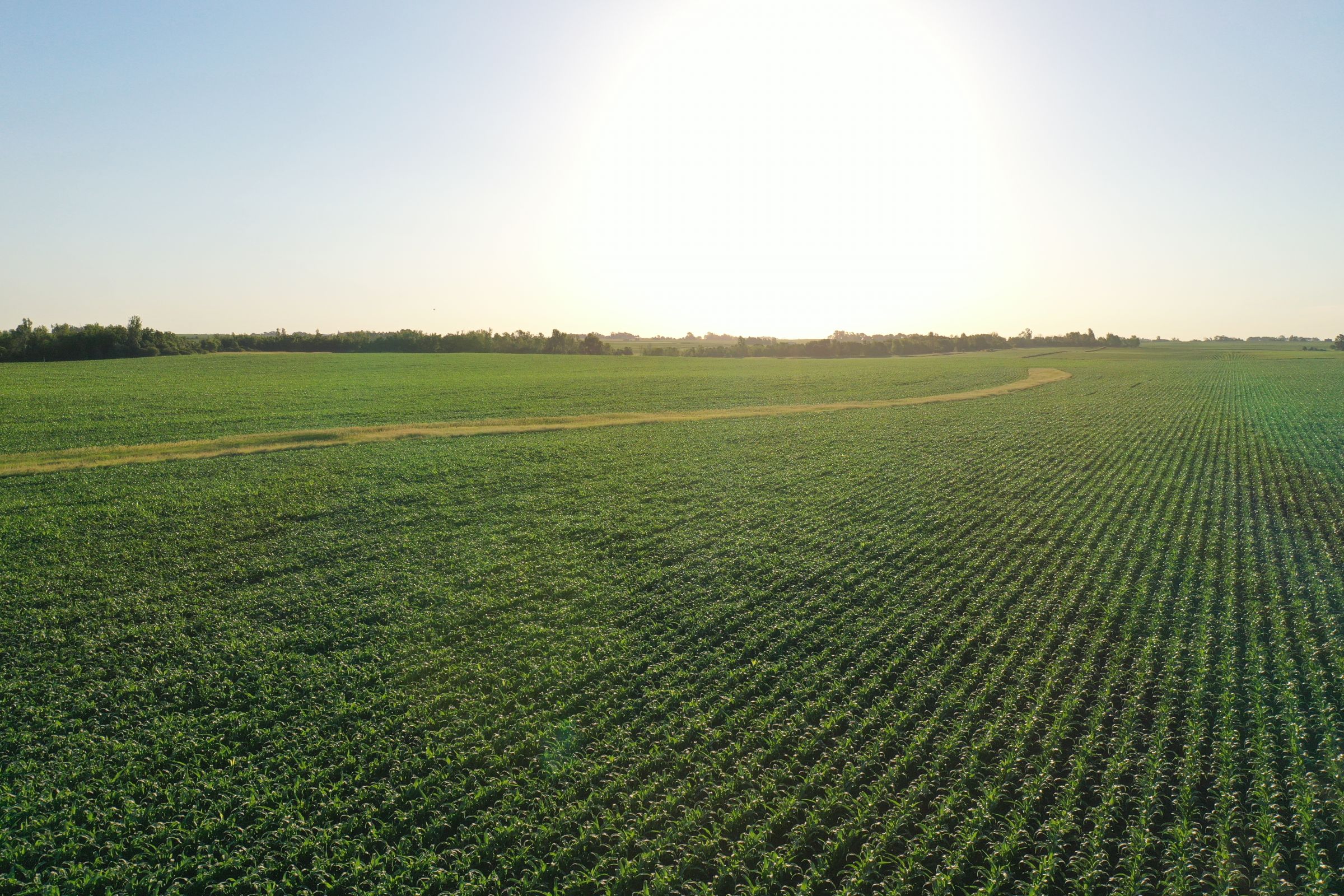 Boone County Iowa Farmland Auction/For Sale