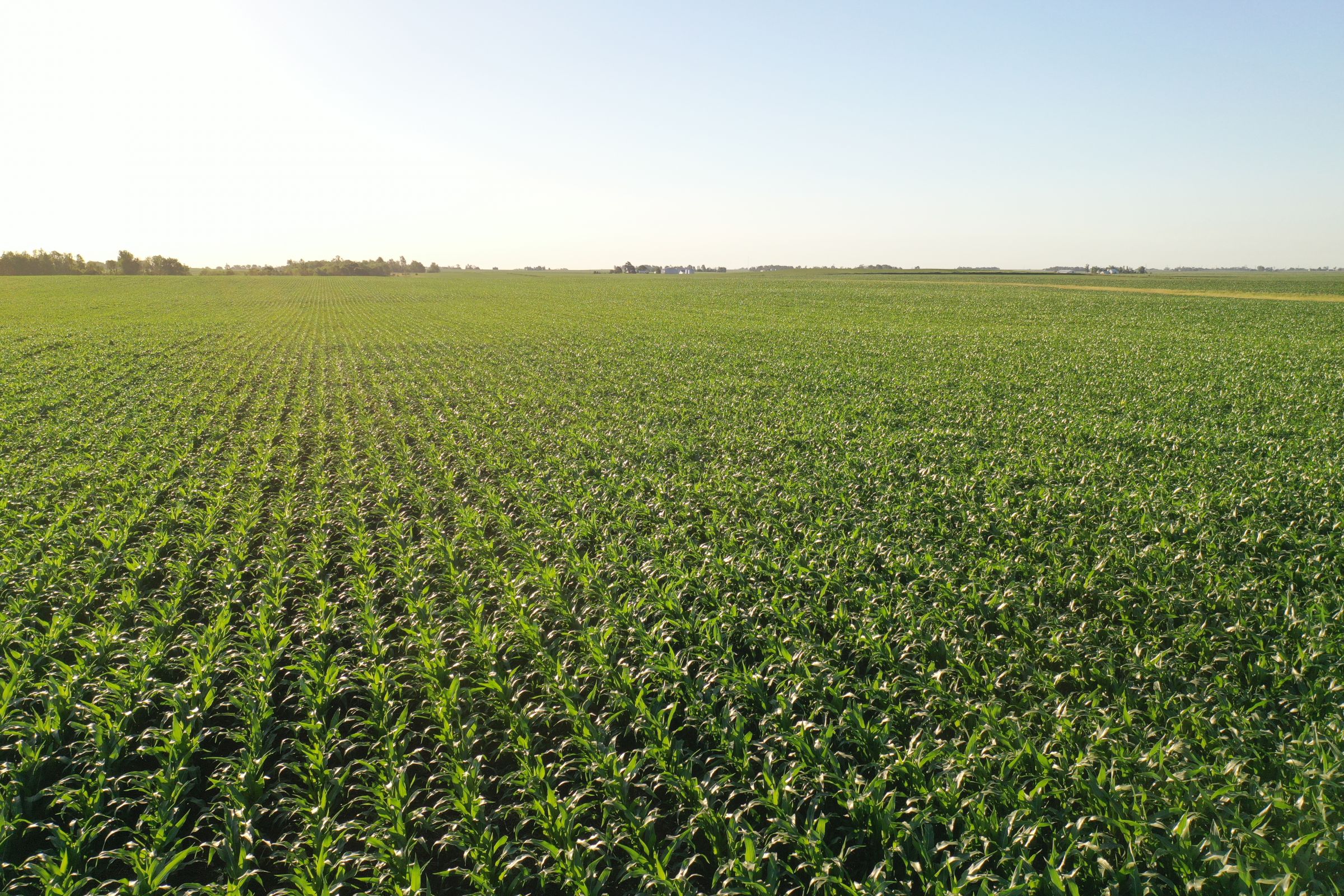 Boone County Iowa Farmland Auction/For Sale