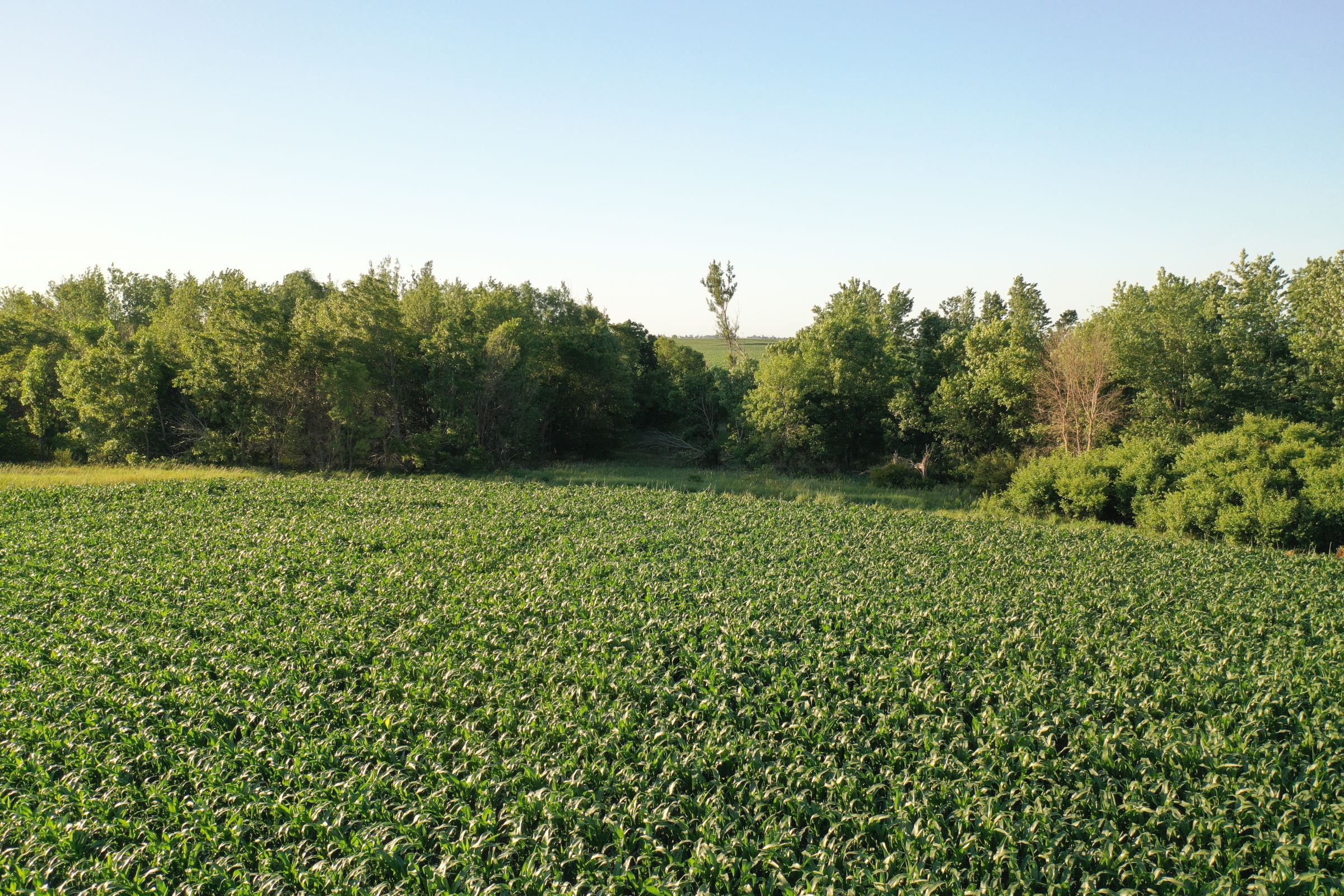 Boone County Iowa Farmland Auction/For Sale