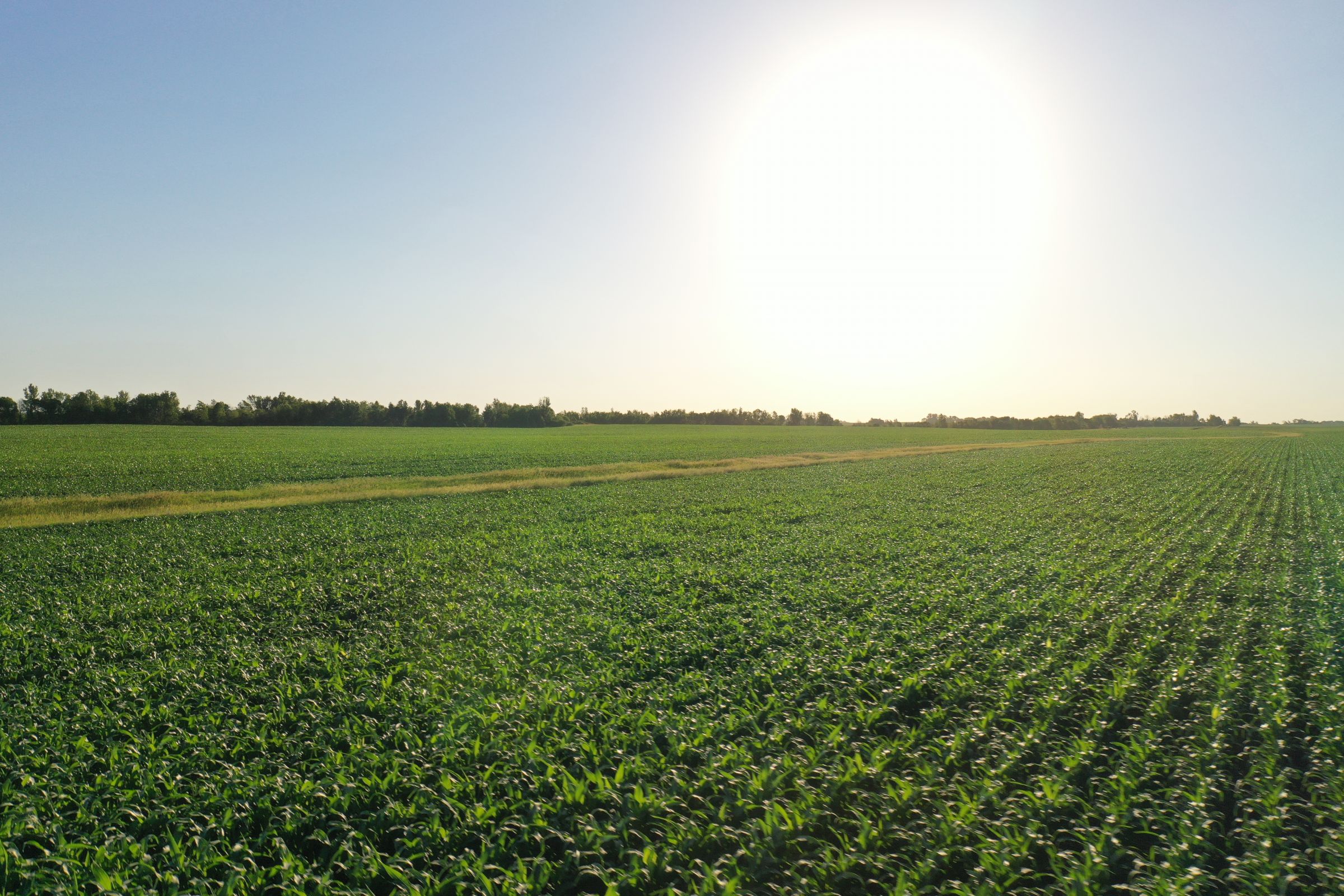 Boone County Iowa Farmland Auction/For Sale