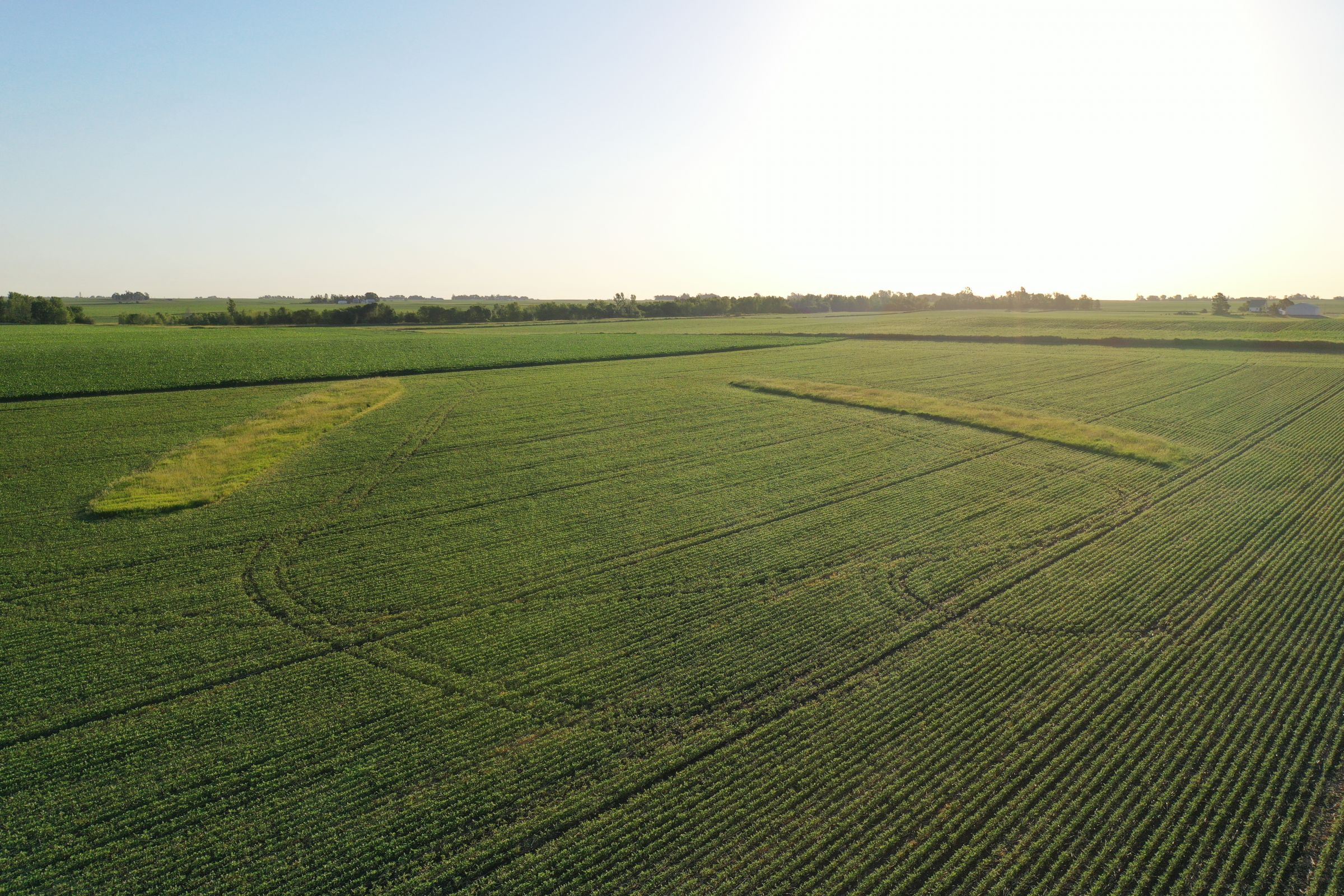 Boone County Iowa Farmland Auction/For Sale