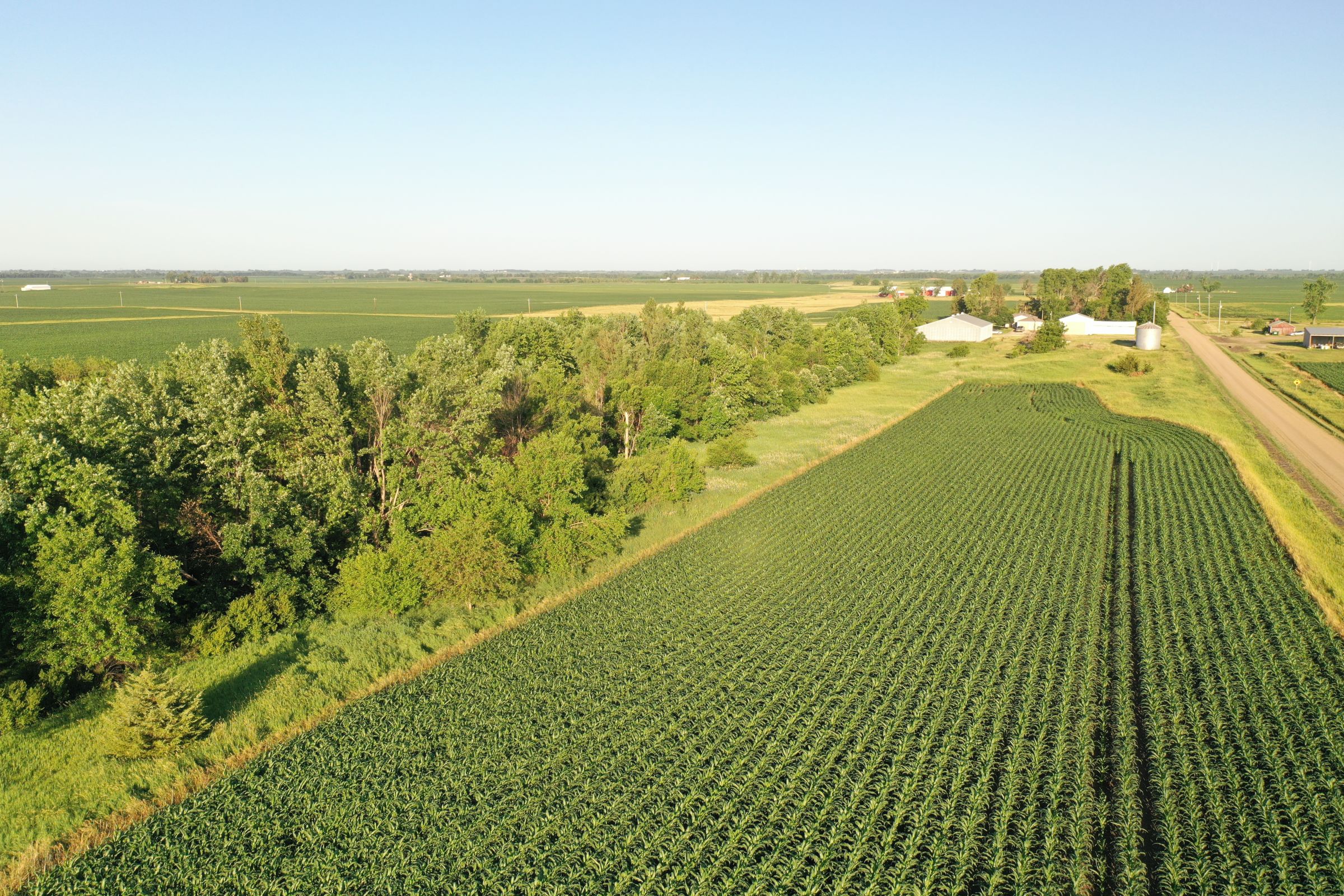 Boone County Iowa Farmland Auction/For Sale