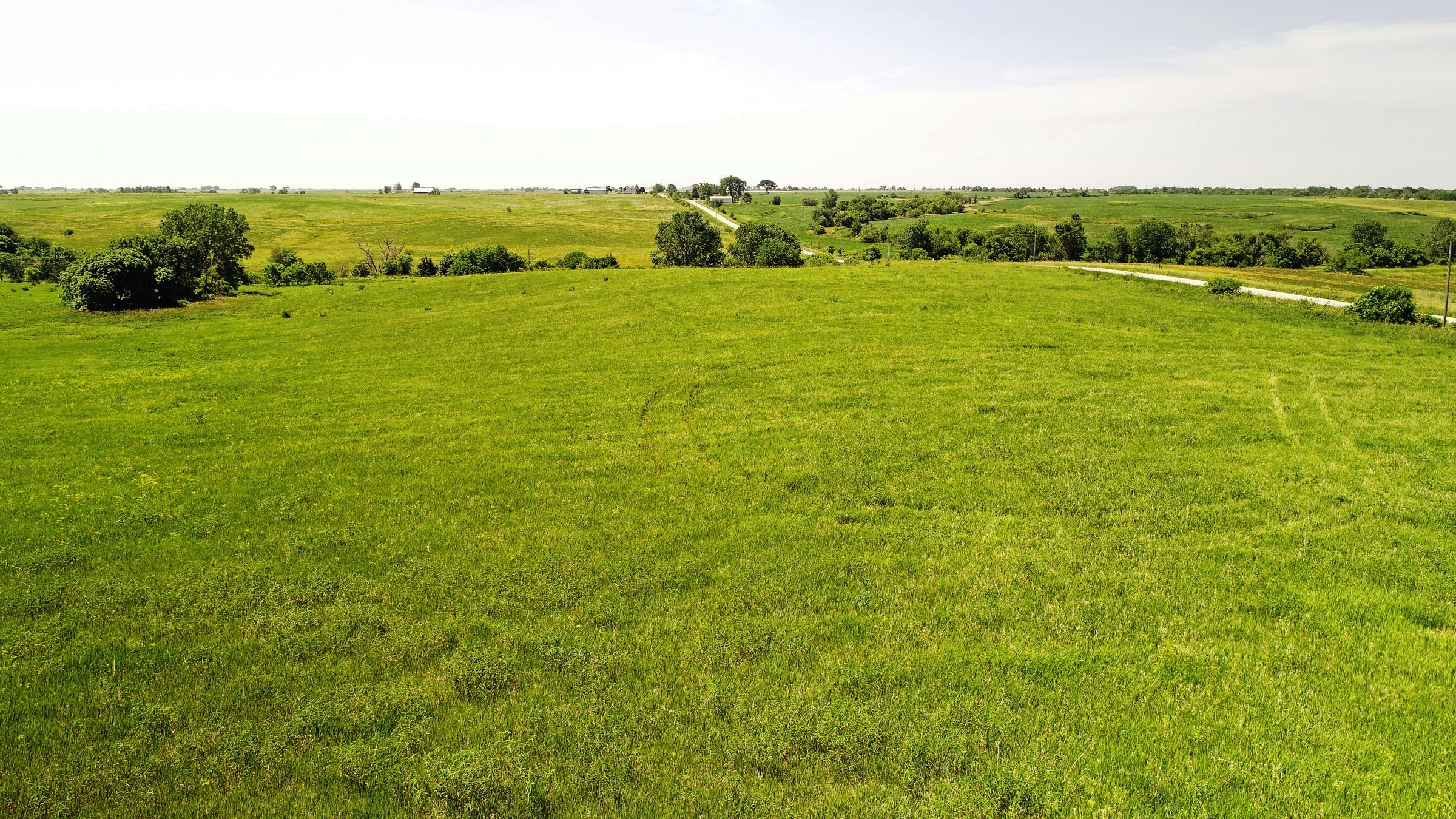 land-iowa-38-acres-listing-number-15594-0-2021-06-16-212122.JPG