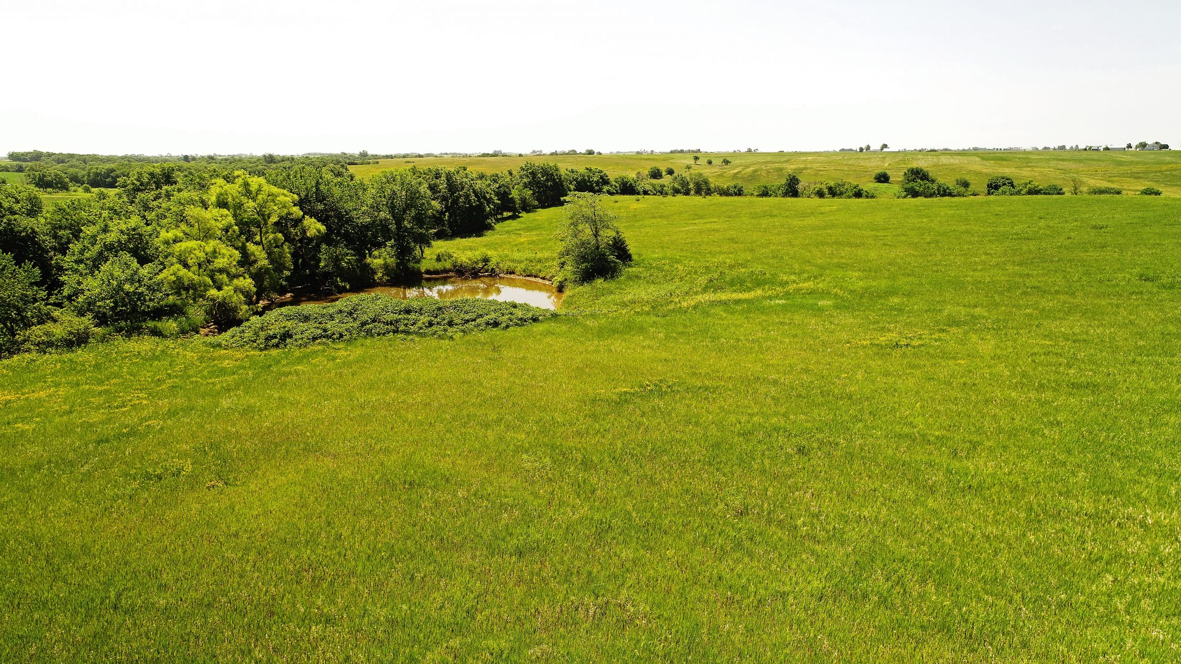 land-iowa-38-acres-listing-number-15594-1-2021-06-16-212123.JPG