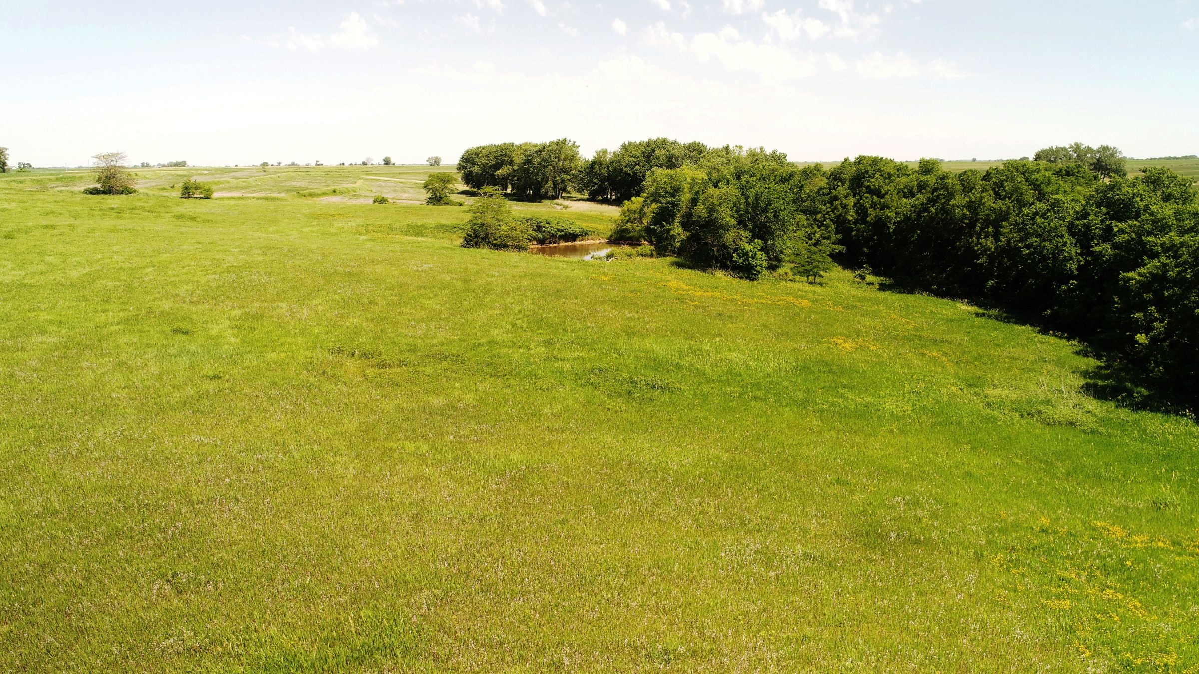 land-iowa-38-acres-listing-number-15594-2-2021-06-16-212125.JPG