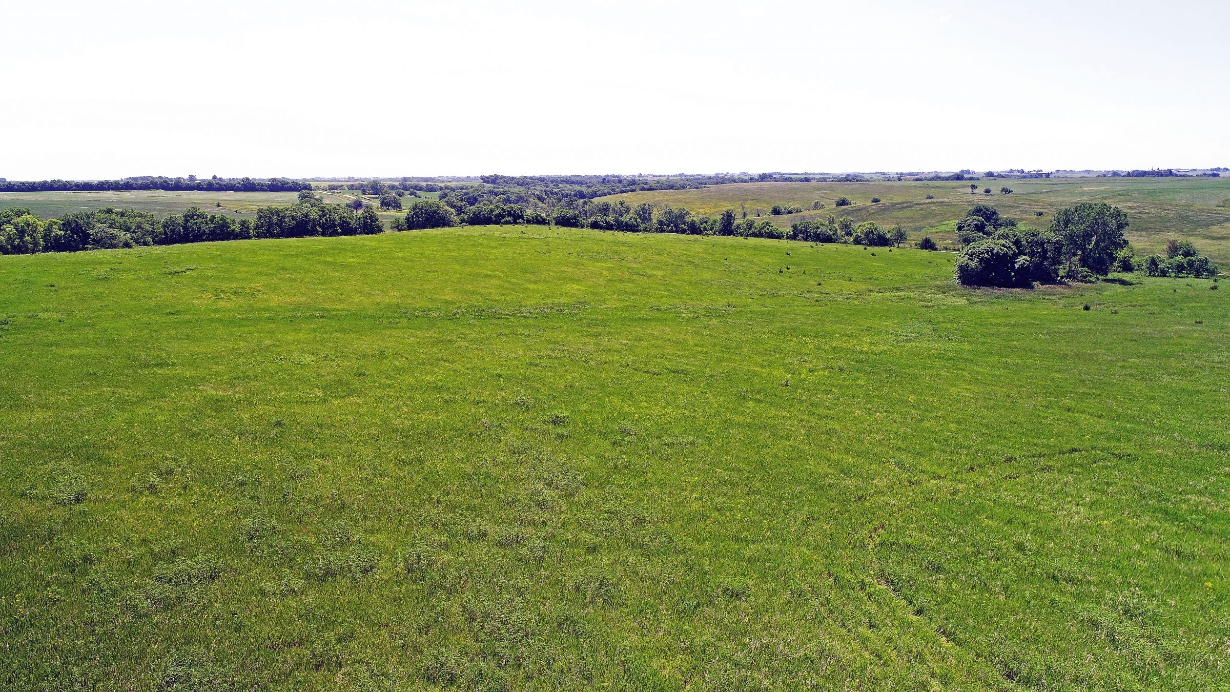 land-iowa-38-acres-listing-number-15594-4-2021-06-16-212129.JPG