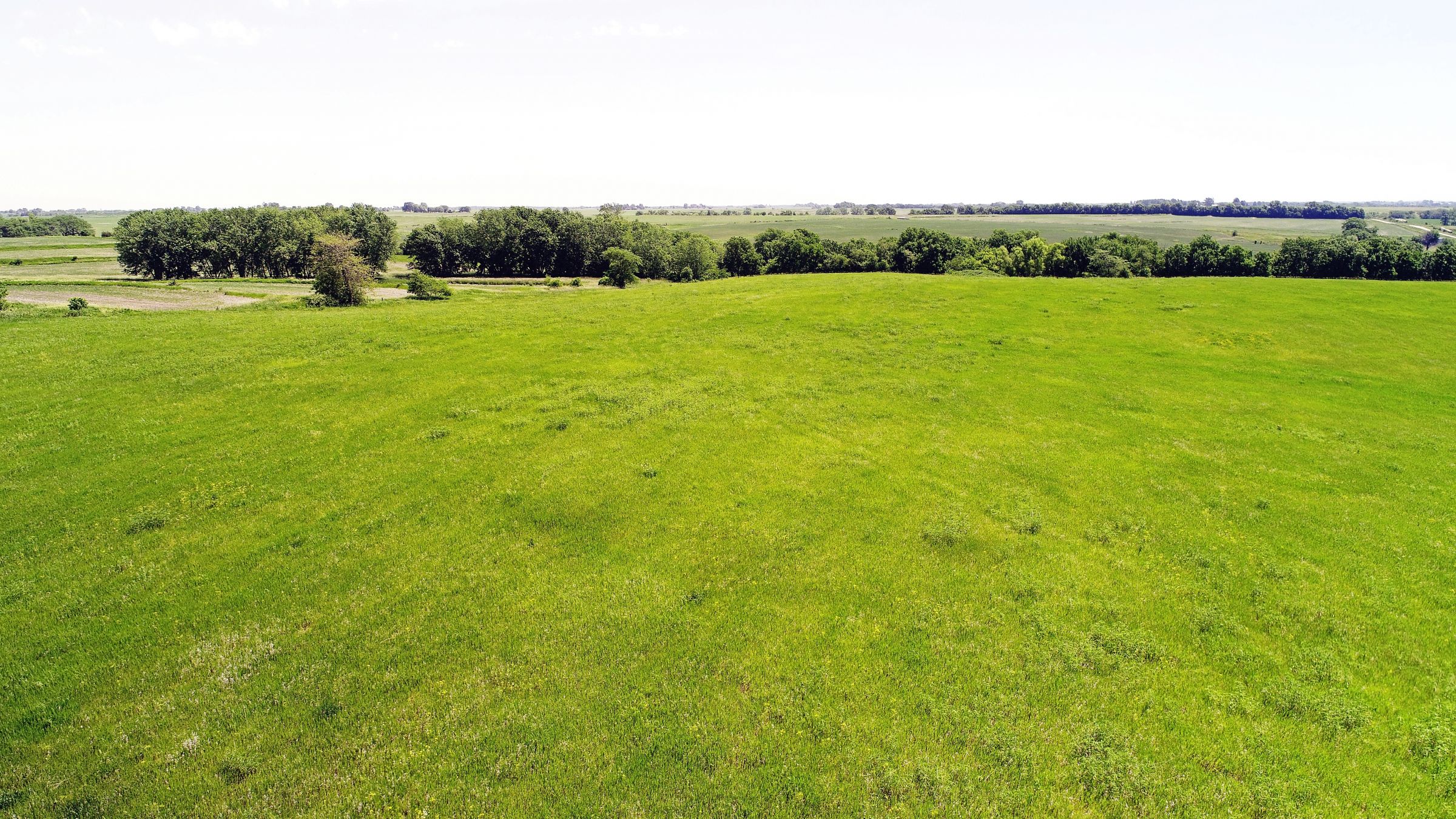 land-iowa-38-acres-listing-number-15594-5-2021-06-16-212131.JPG