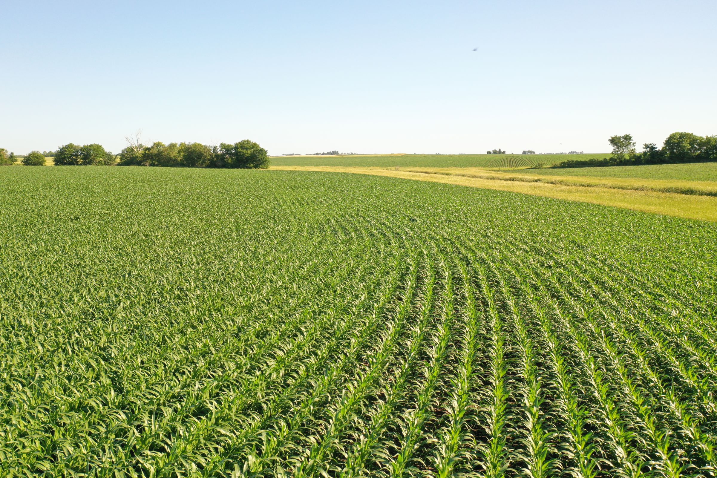 Dallas County Iowa Farmland For Sale