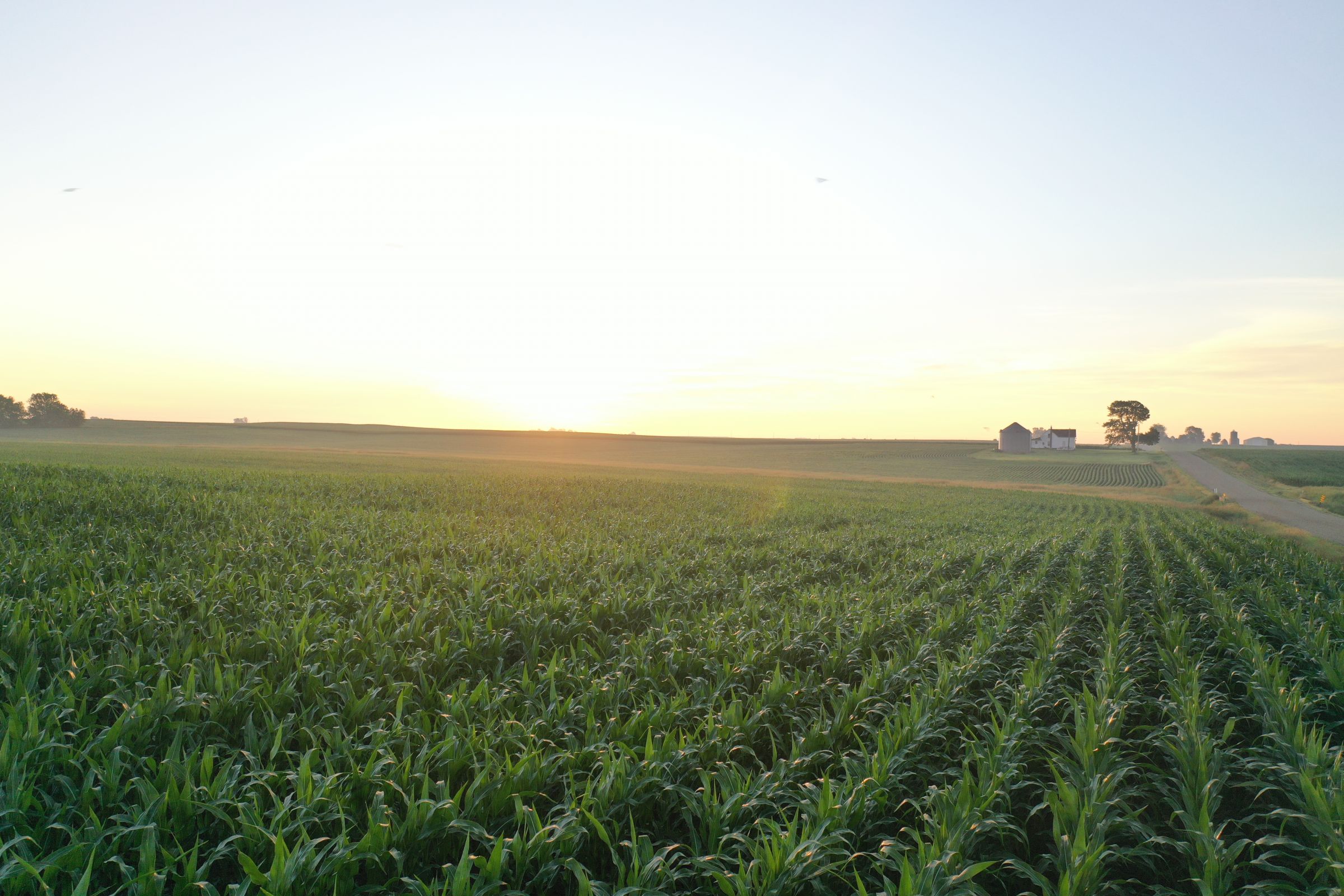 Dallas County Iowa Farmland For Sale