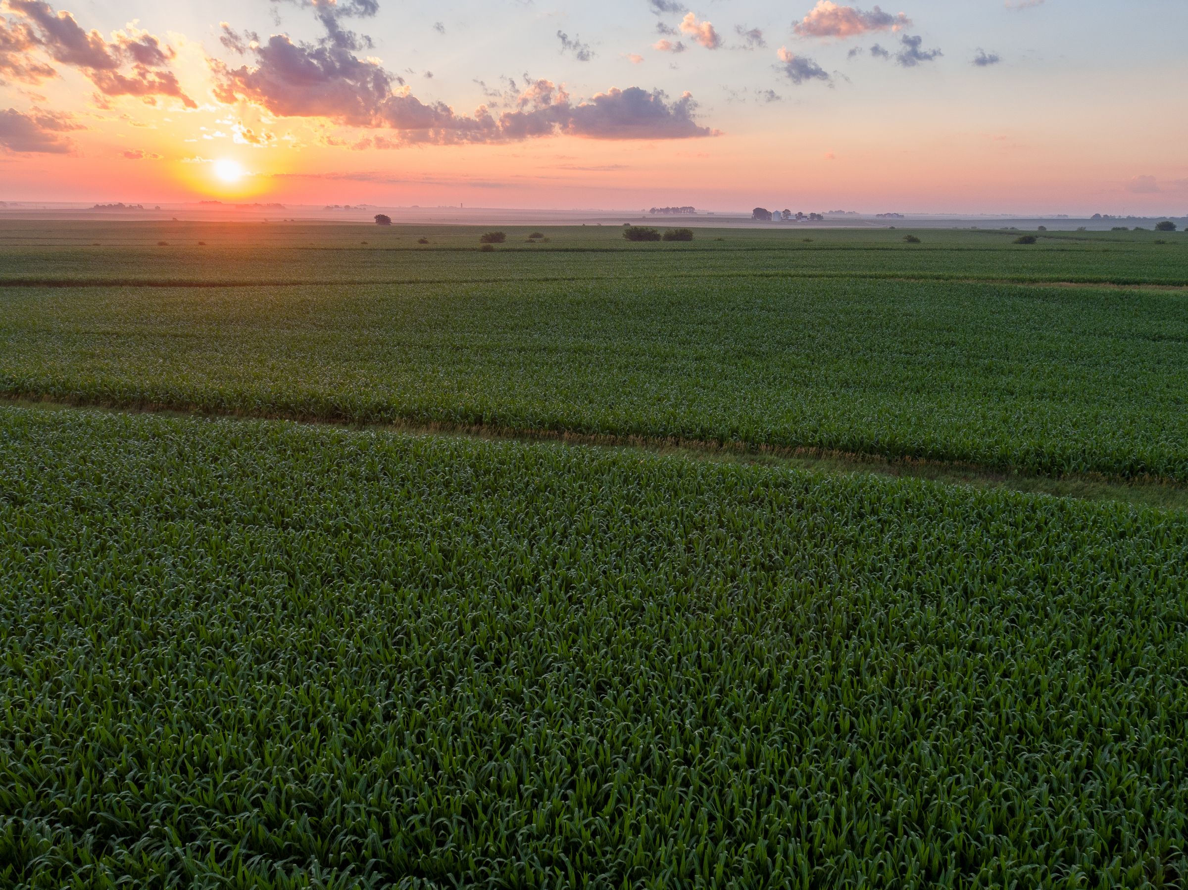 Garst Farms Auction