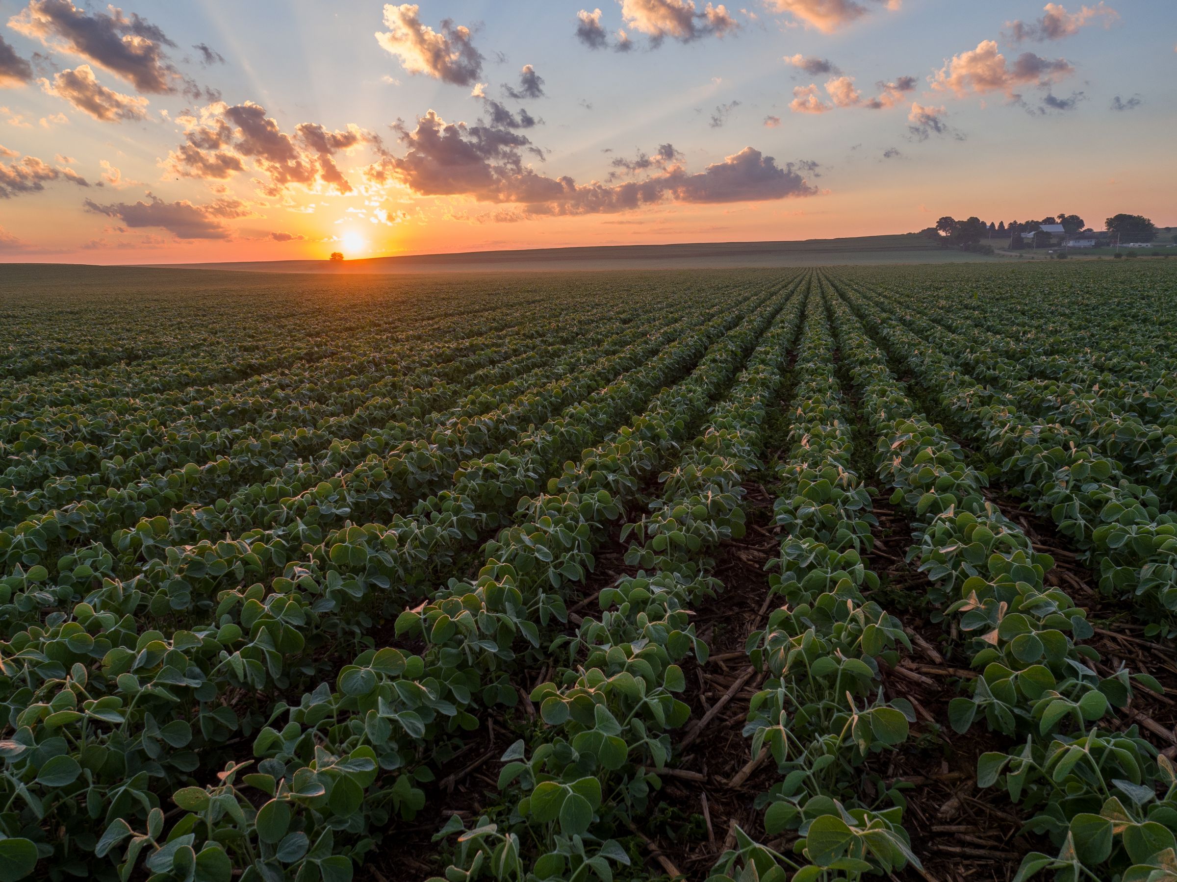 Garst Farms Auction