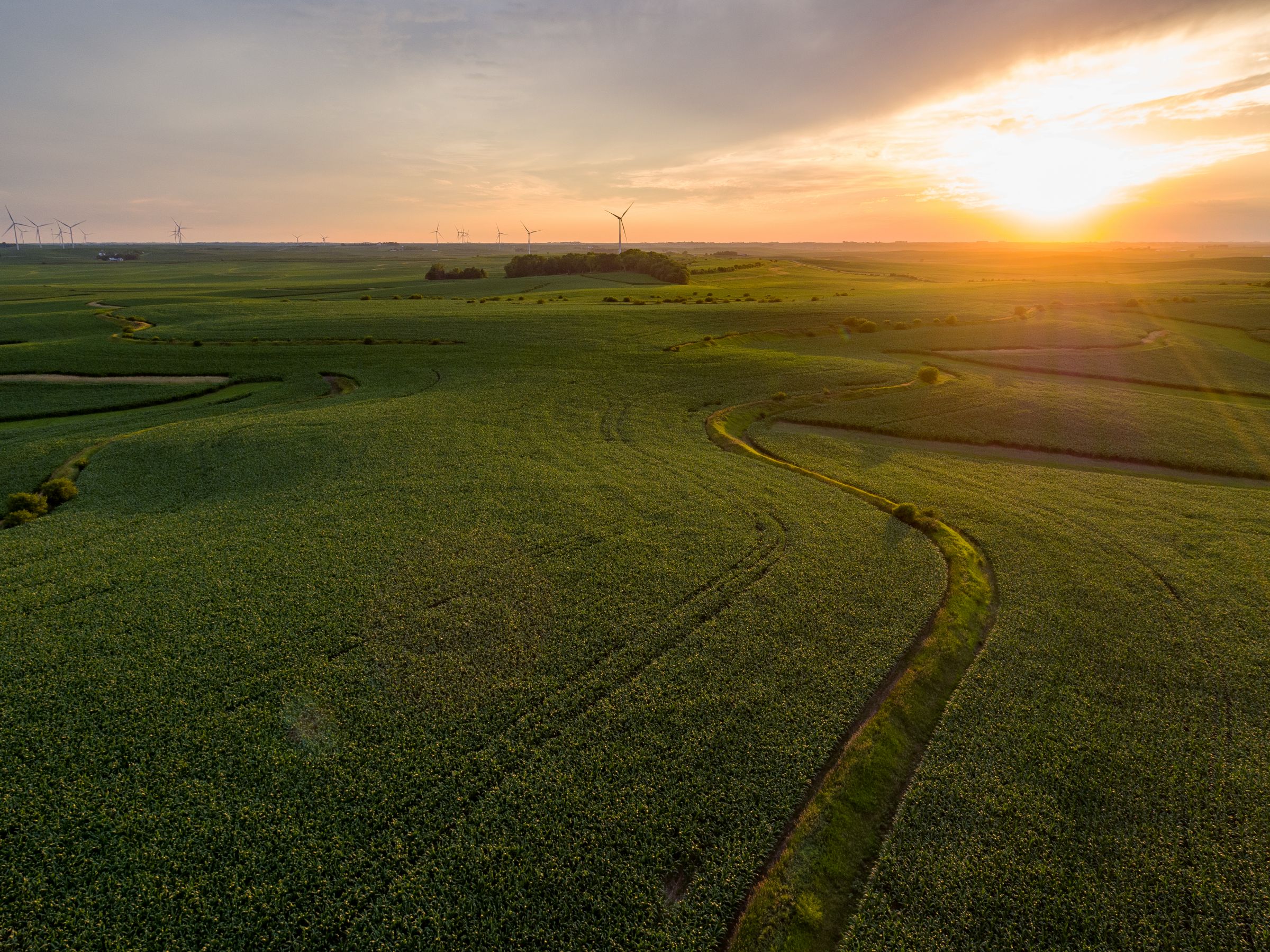 Garst Farms Auction