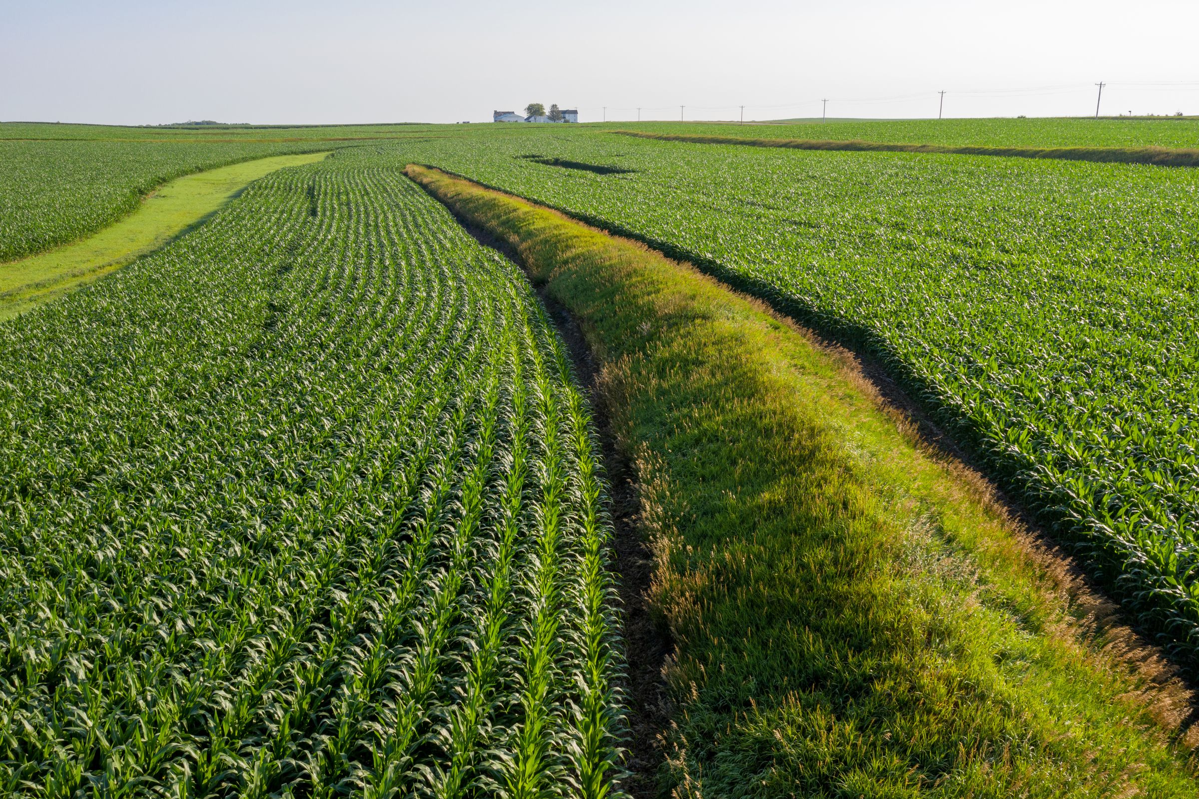 Garst Farms Auction