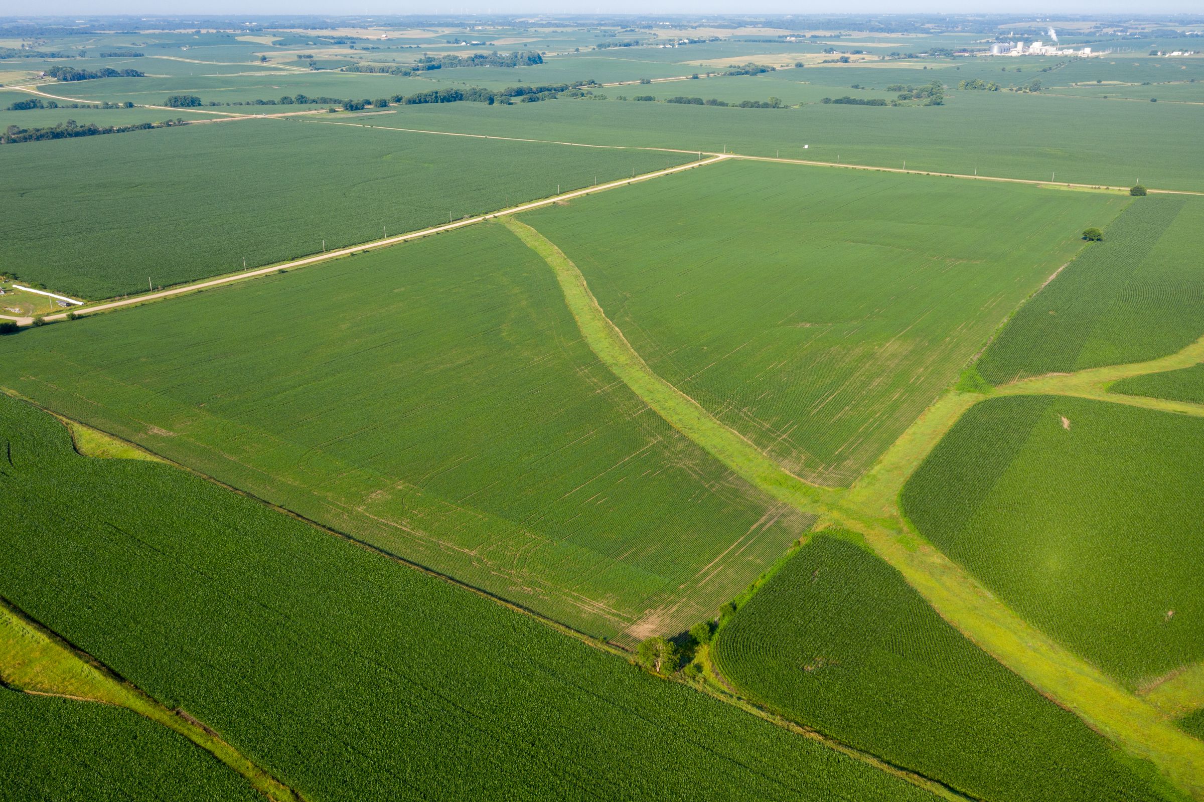 Garst Farms Auction