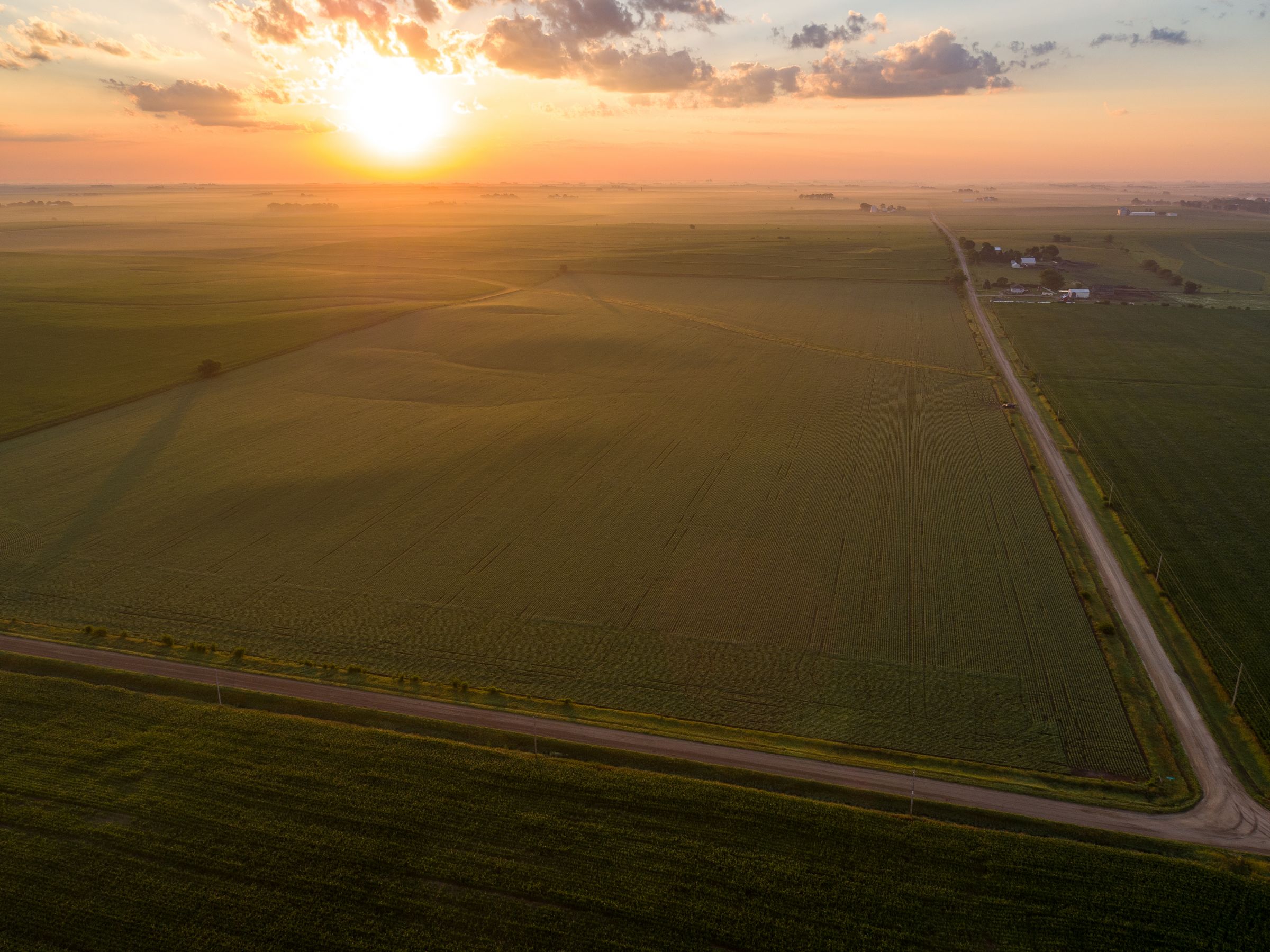 Garst Farms Auction