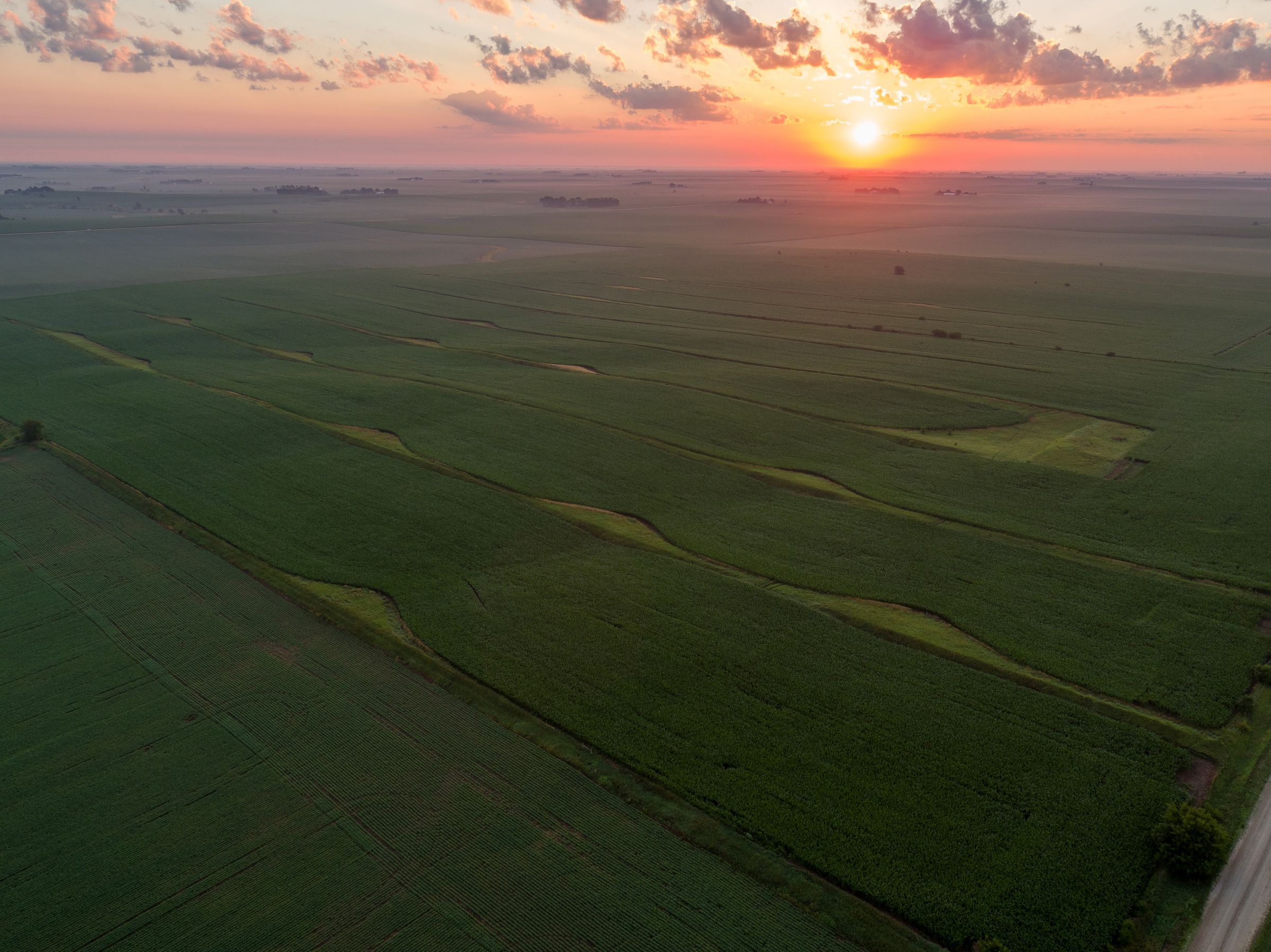 Garst Farms Auction