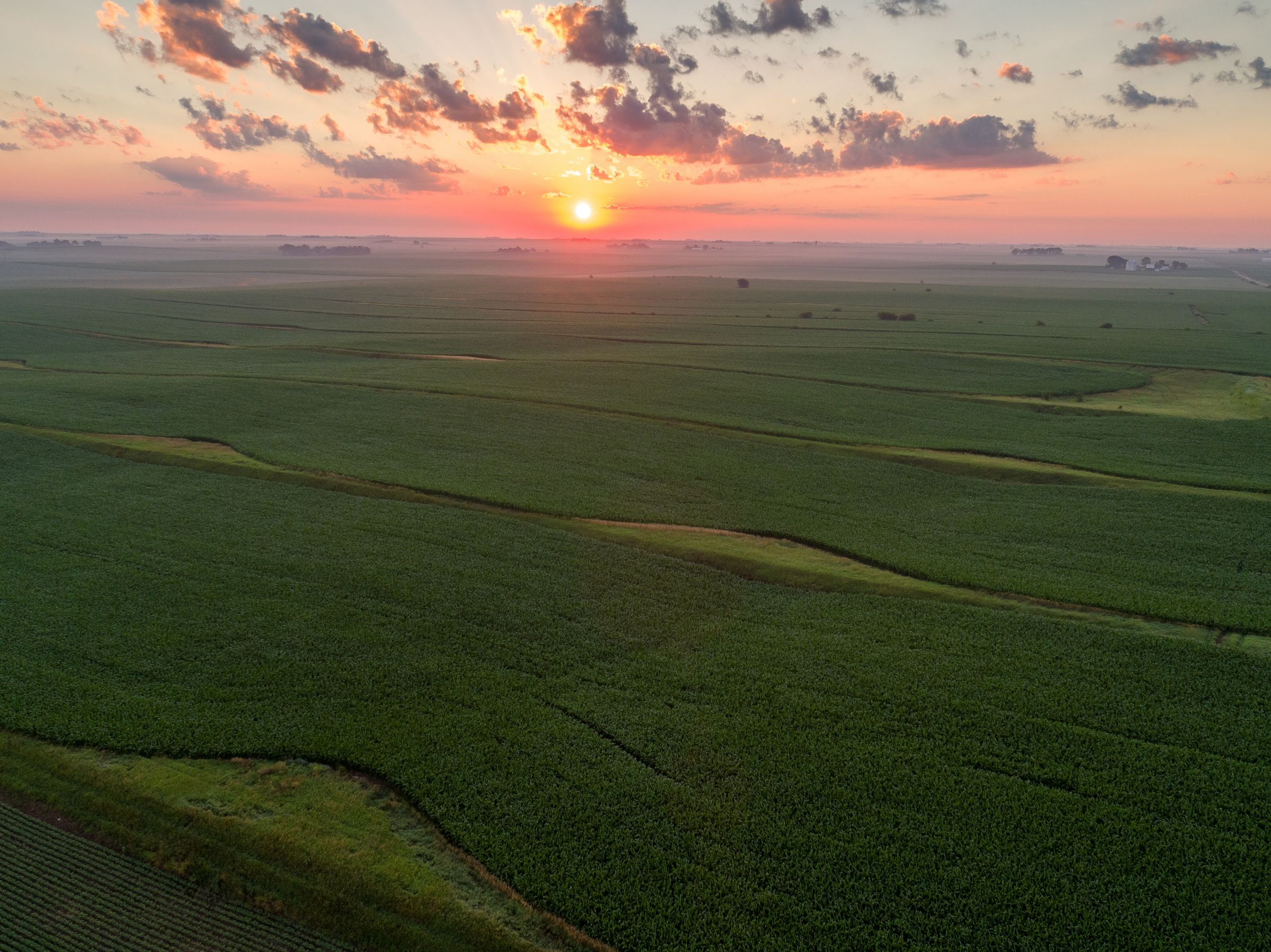 Garst Farms Auction