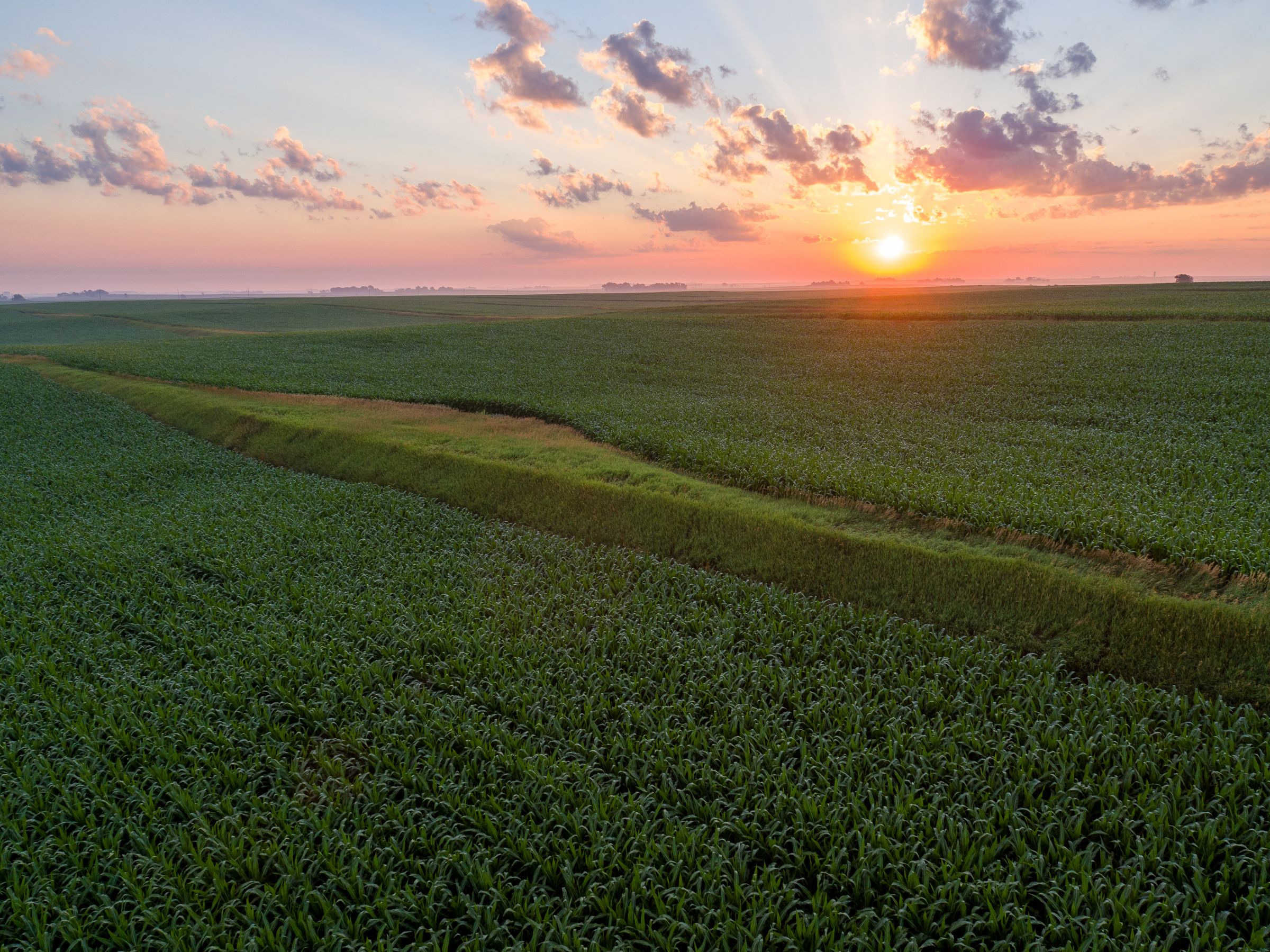 Garst Farms Auction