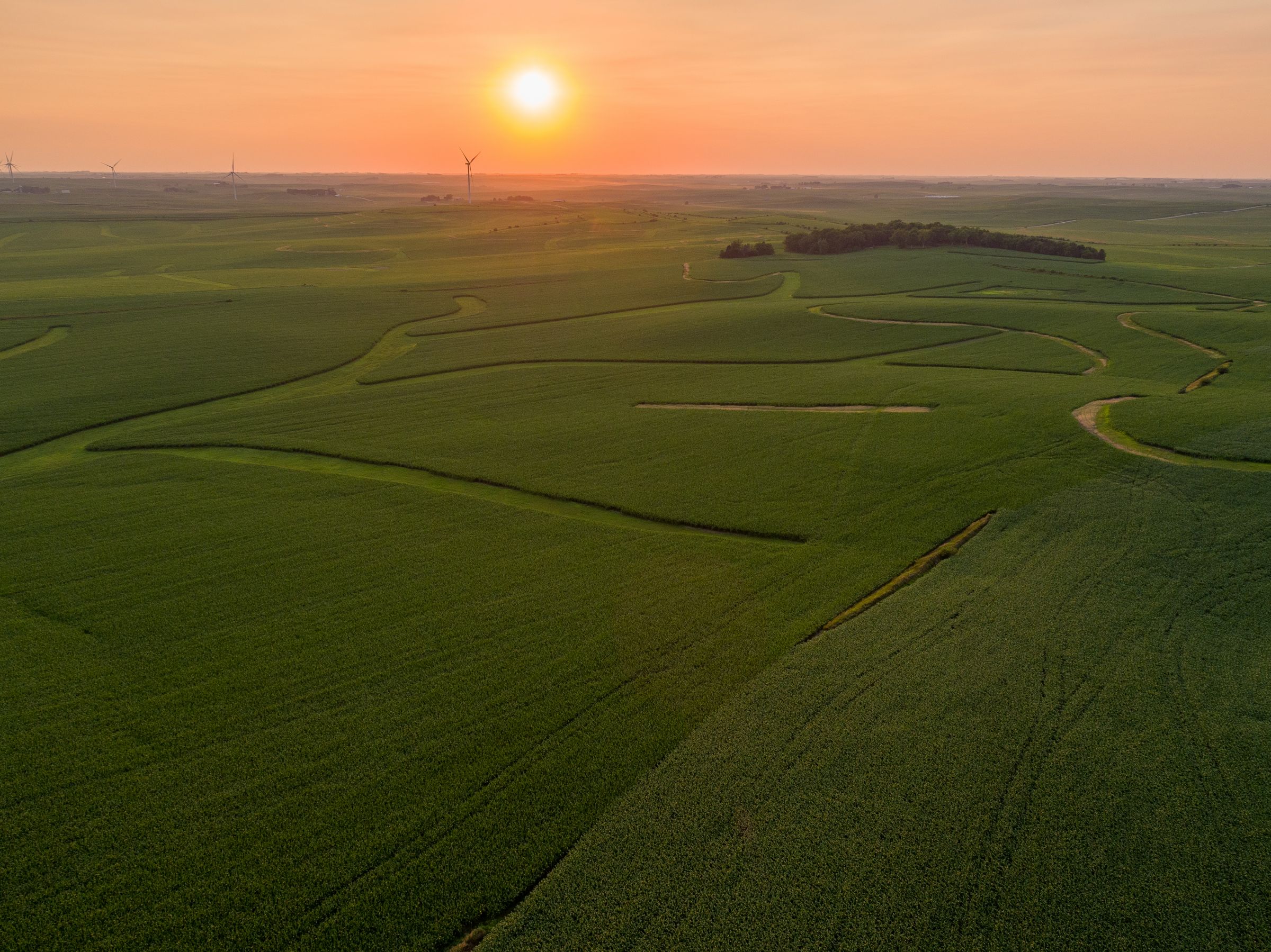 Garst Farms Auction