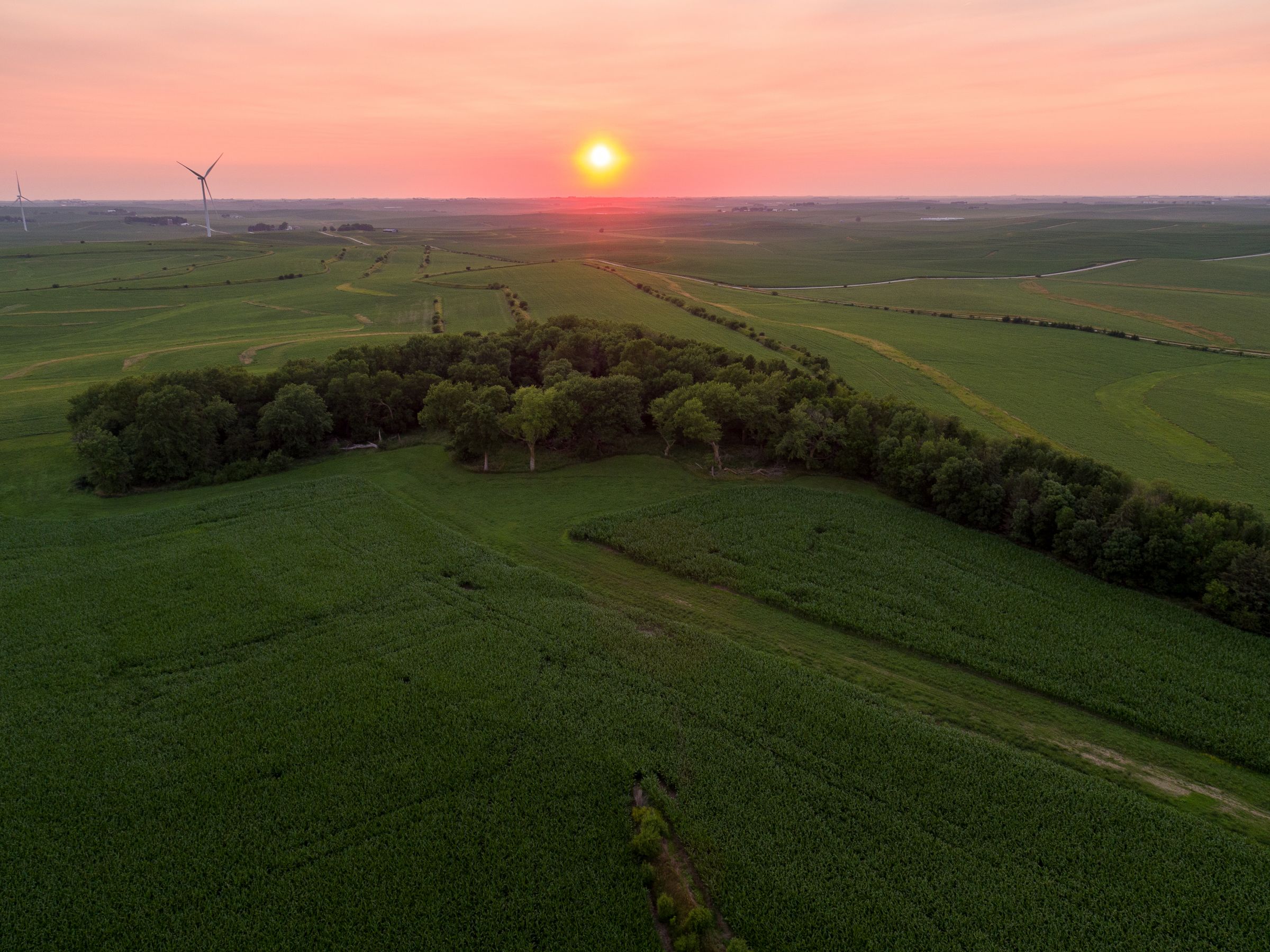 Garst Farms Auction